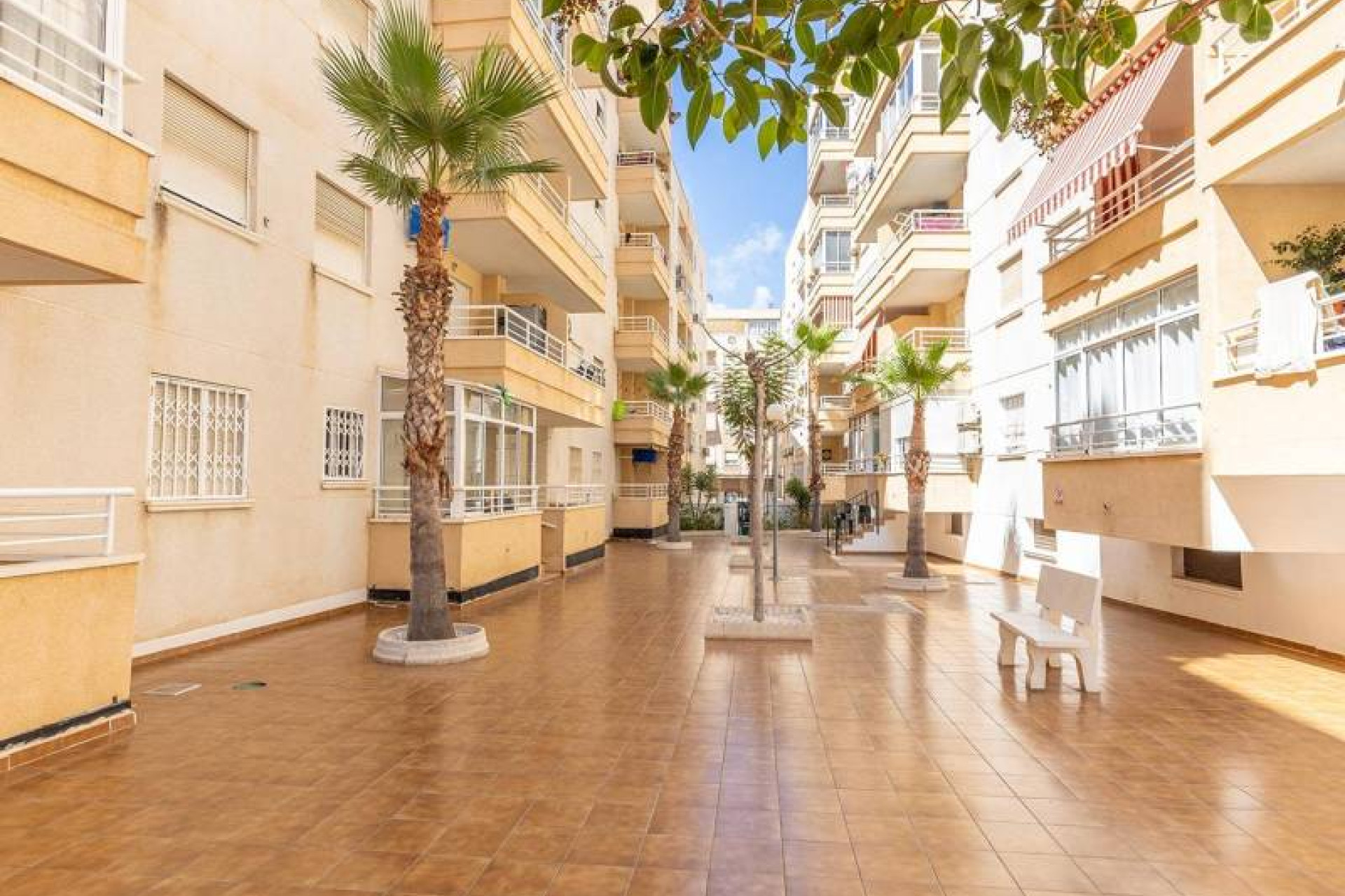 Resale - Apartment - Torrevieja - Estacion de autobuses