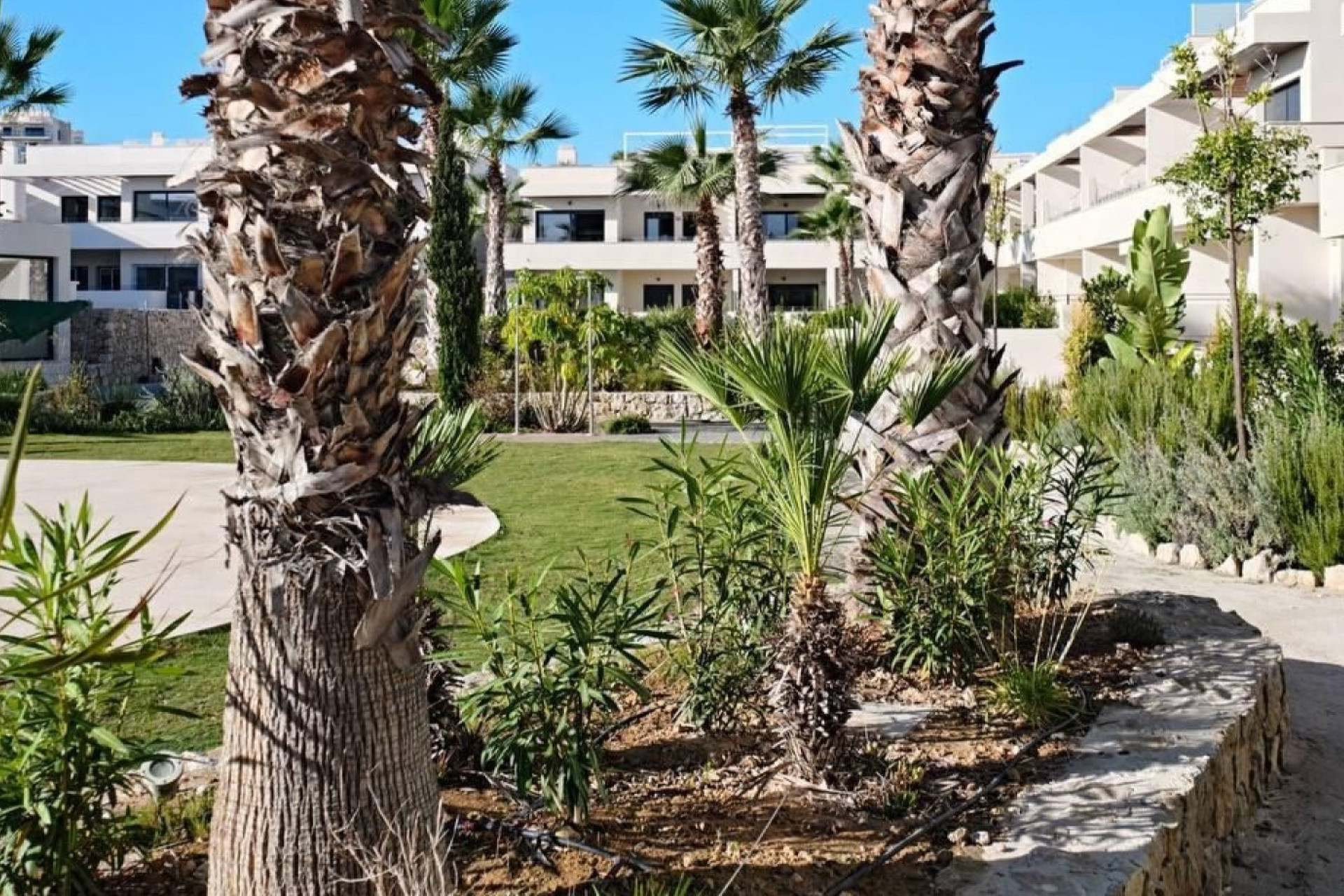 Resale - Apartment - Torrevieja - La Veleta
