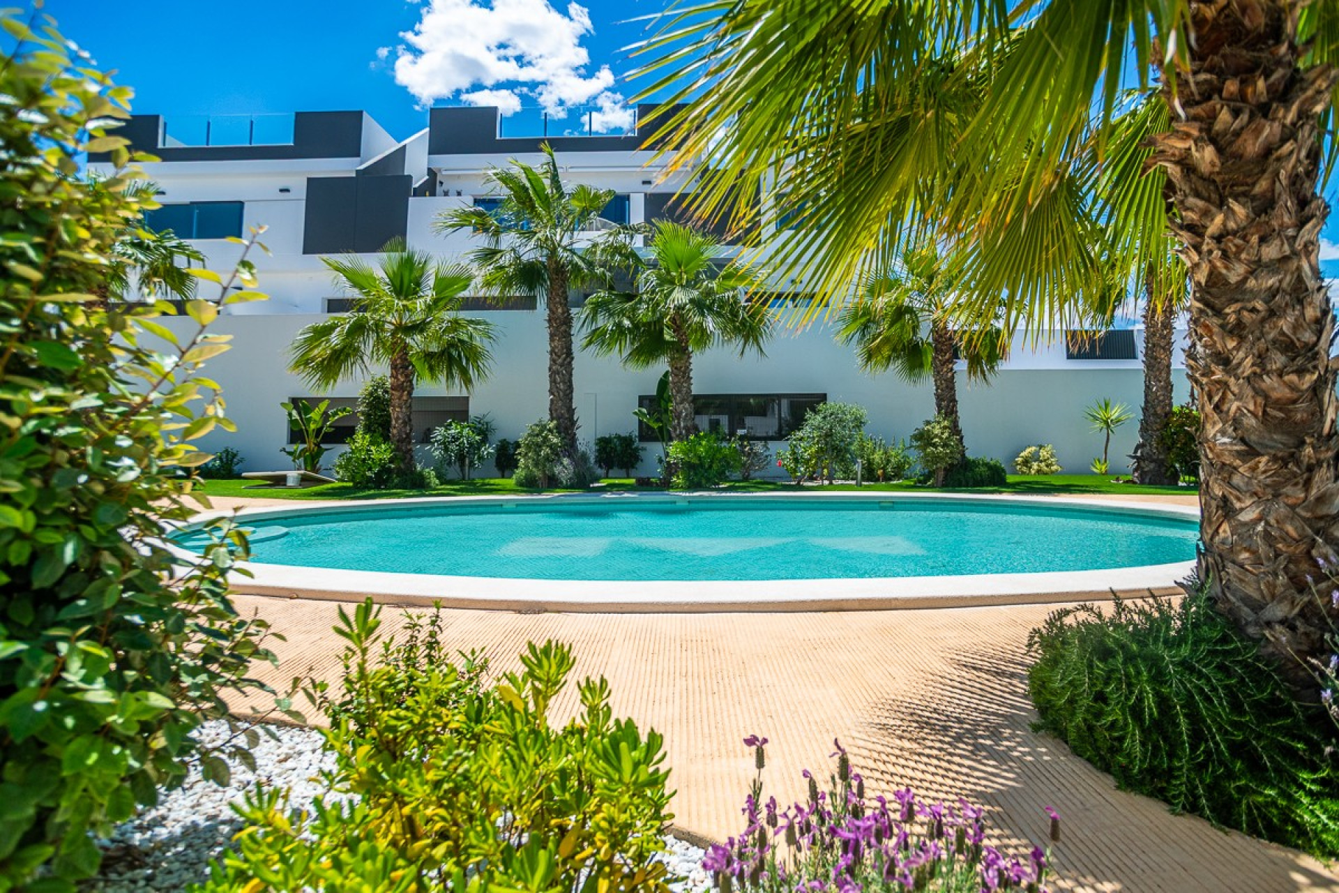 Resale - Apartment - Torrevieja - LOS BALCONES - LOS ALTOS