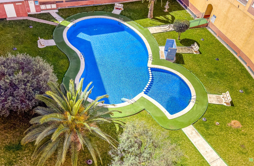 Resale - Apartment - Torrevieja - Parque de las Naciones