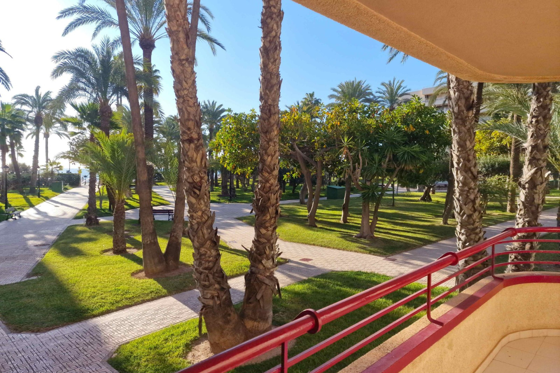 Resale - Apartment - Torrevieja - Playa de los locos
