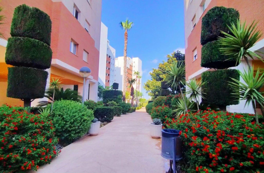 Resale - Apartment - Torrevieja - Playa de los Naufragos