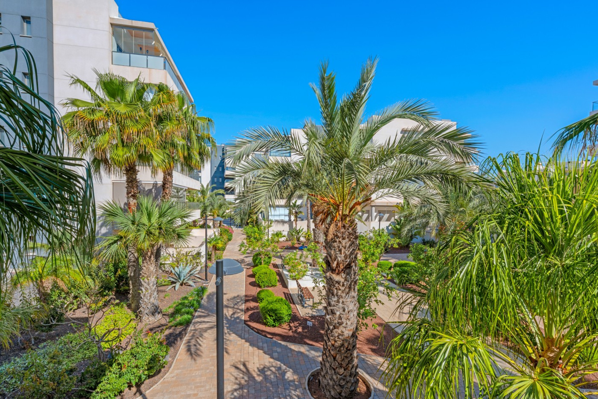 Resale - Apartments - Orihuela Costa - Los Dolses