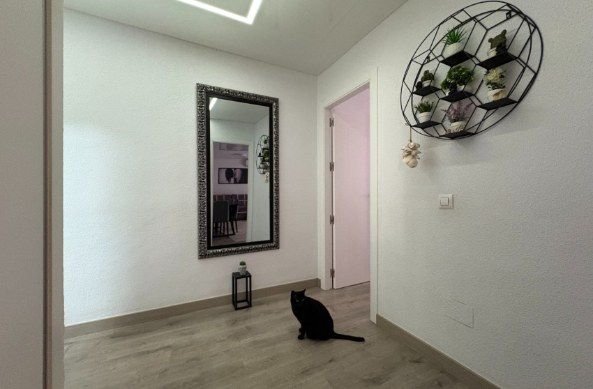 Resale - Apartments - Torrevieja - Centro