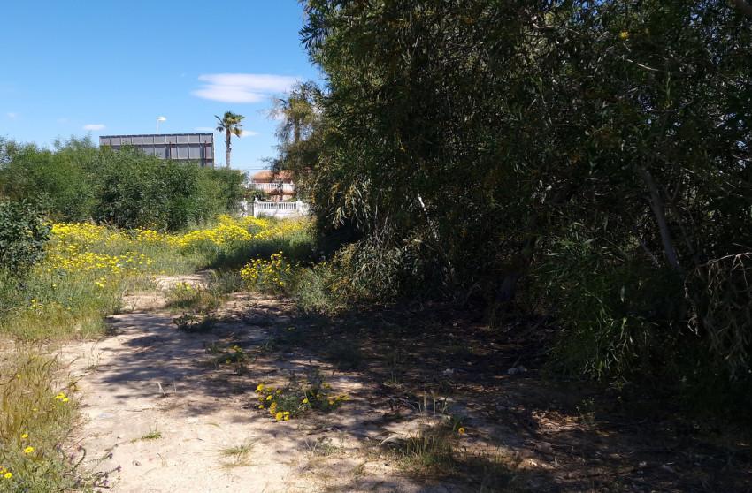 Resale - Building Plot - Los Balcones