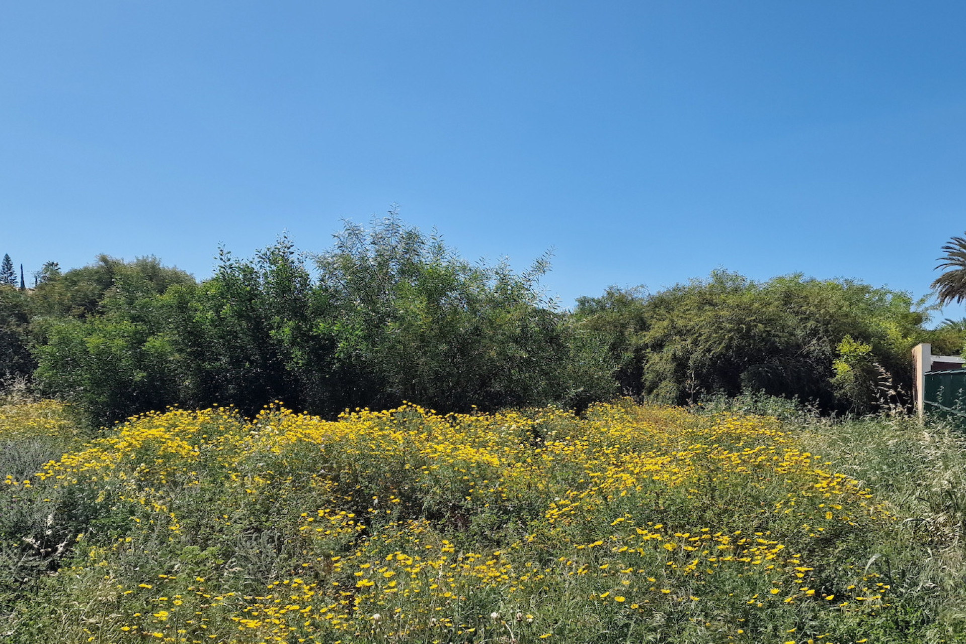 Resale - Building Plot - Los Balcones