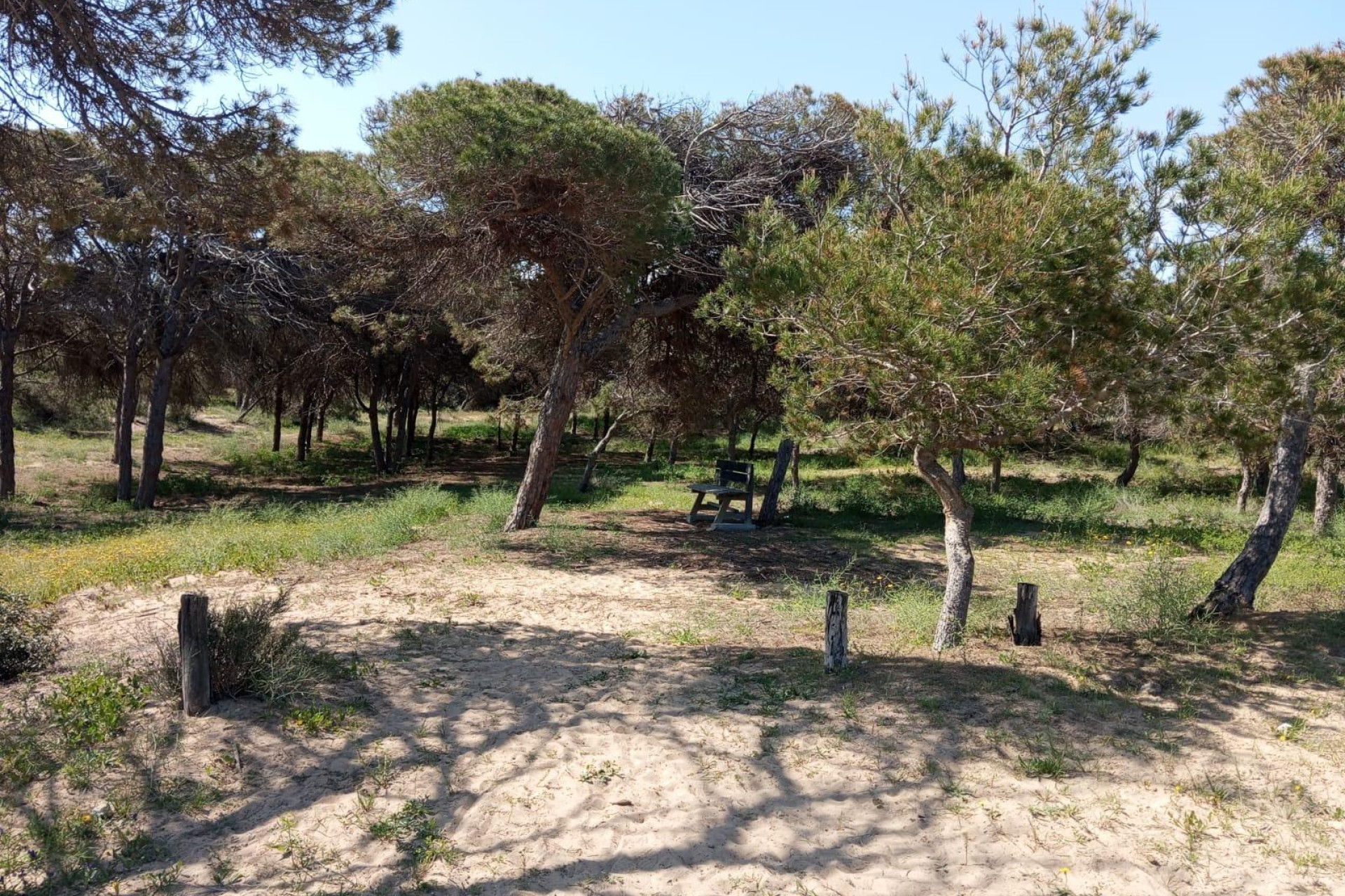 Resale - Bungalow - Groundfloor - Guardamar del Segura - Urbanizaciones