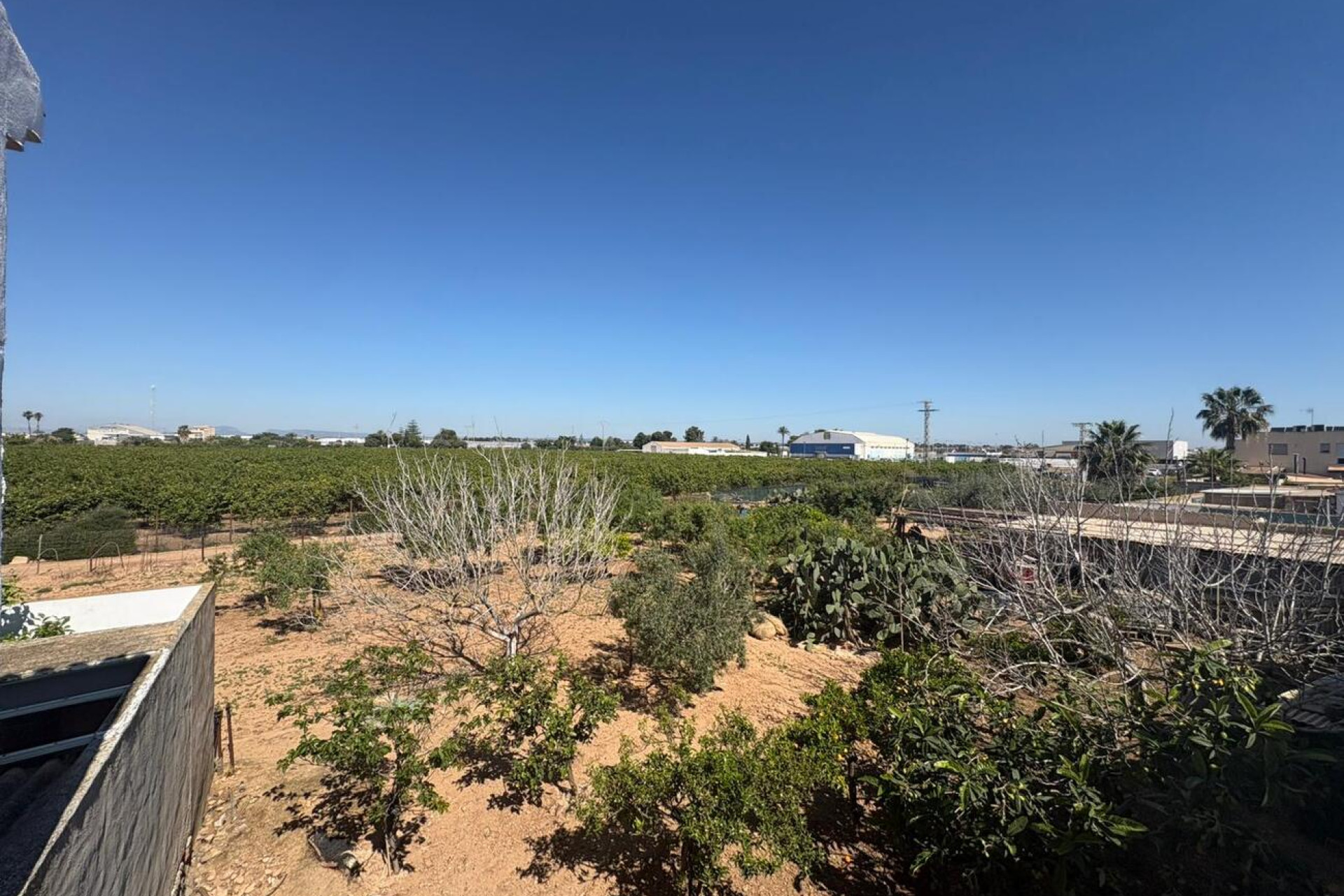 Resale - Bungalow - Groundfloor - San Pedro