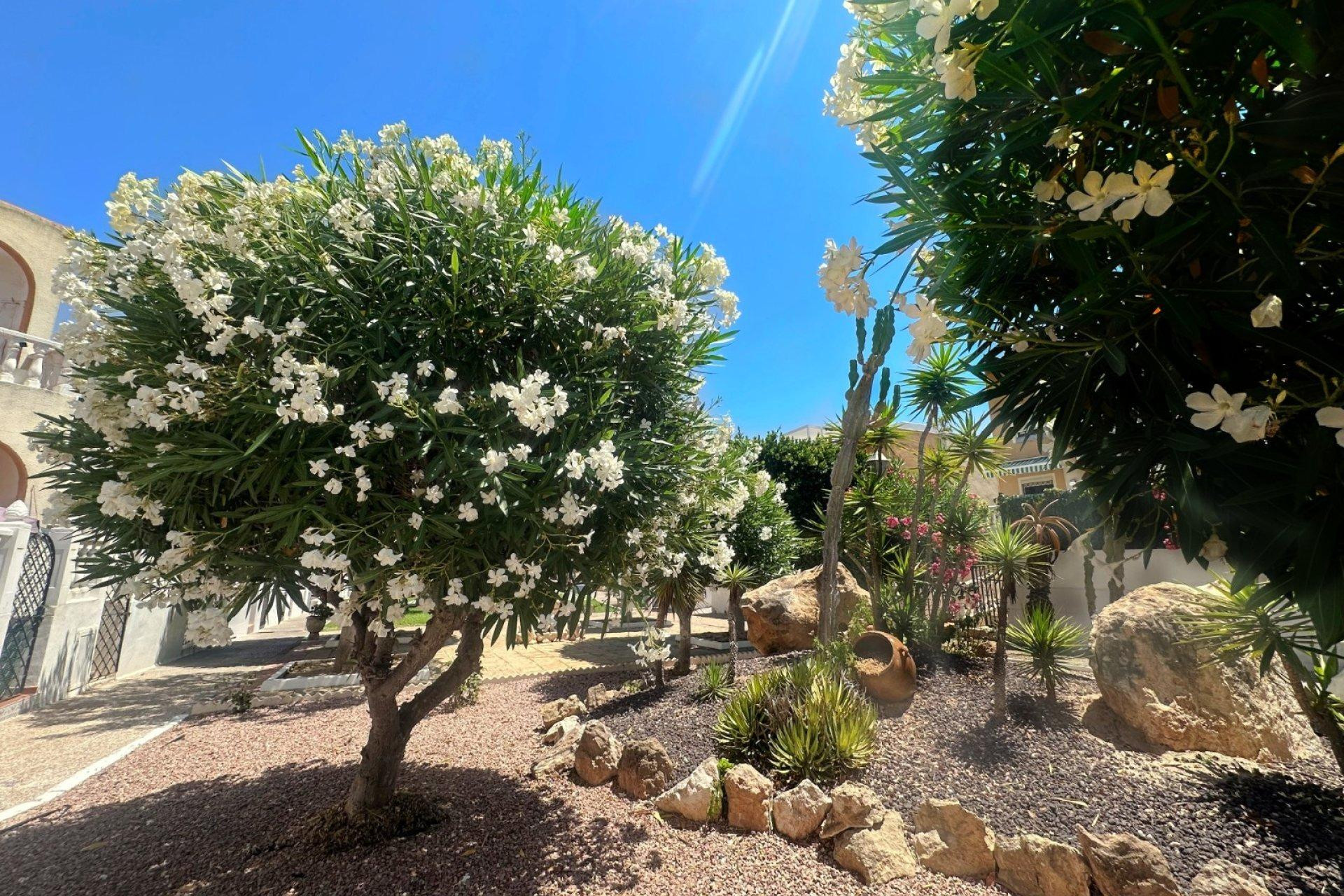 Resale - Bungalow - Groundfloor - Torrevieja - Torreblanca