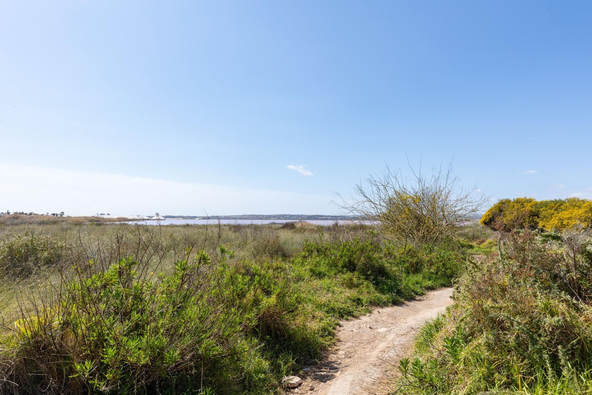 Resale - Bungalow - Groundfloor - Torrevieja - Torretas