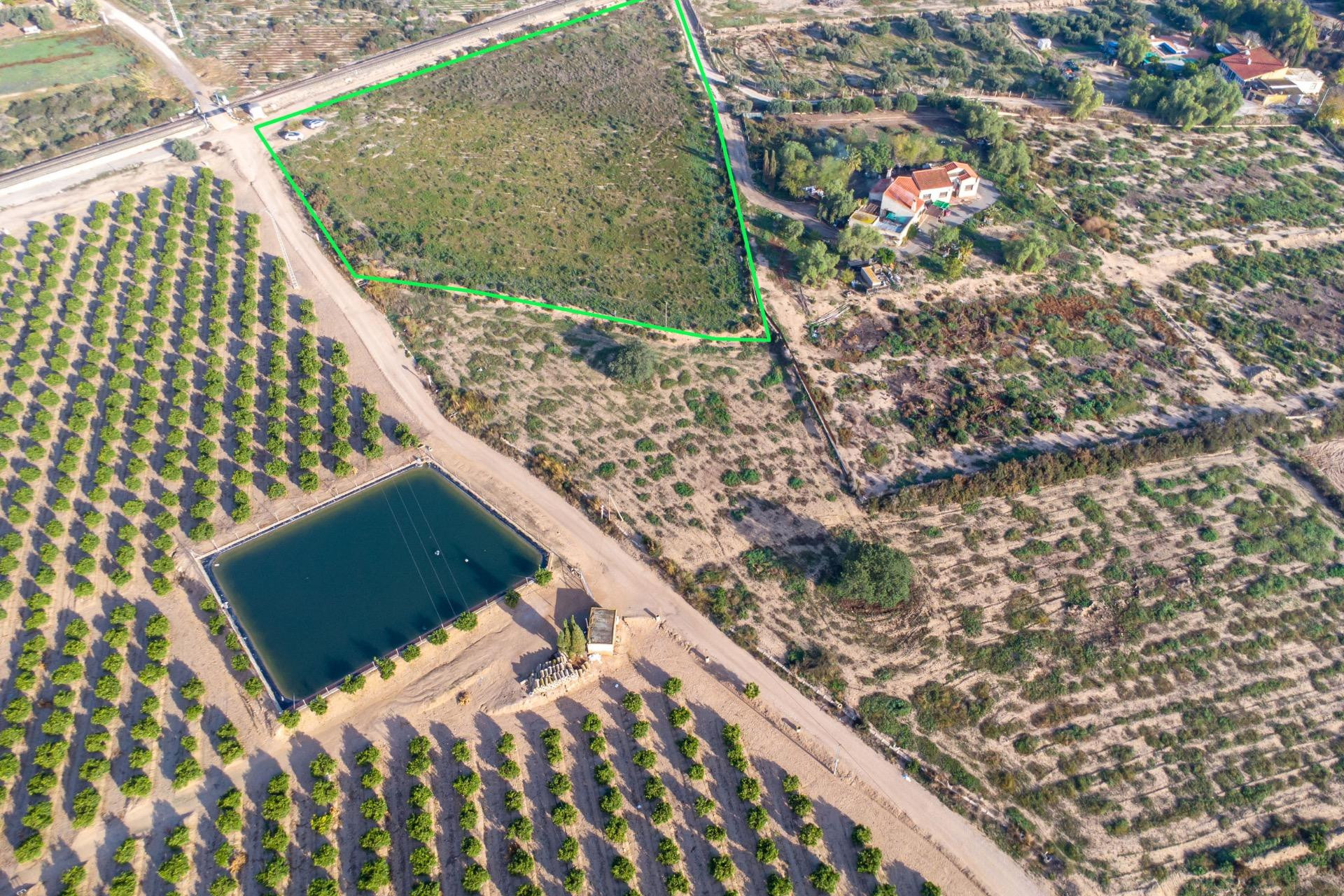 Resale - Country land - Crevillent - Comunidad valenciana