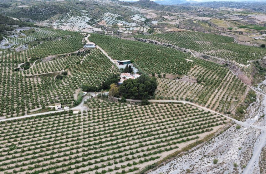 Resale - Country land - Puerto Lumbreras - Nogalte