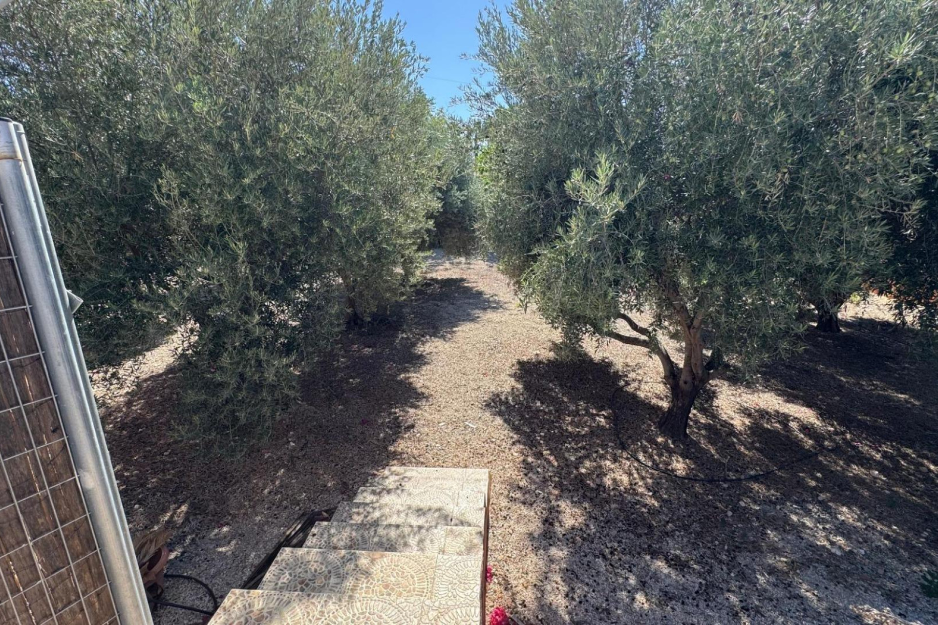 Resale - Country Property - Albatera - BARRANCO SAN CAYETANO