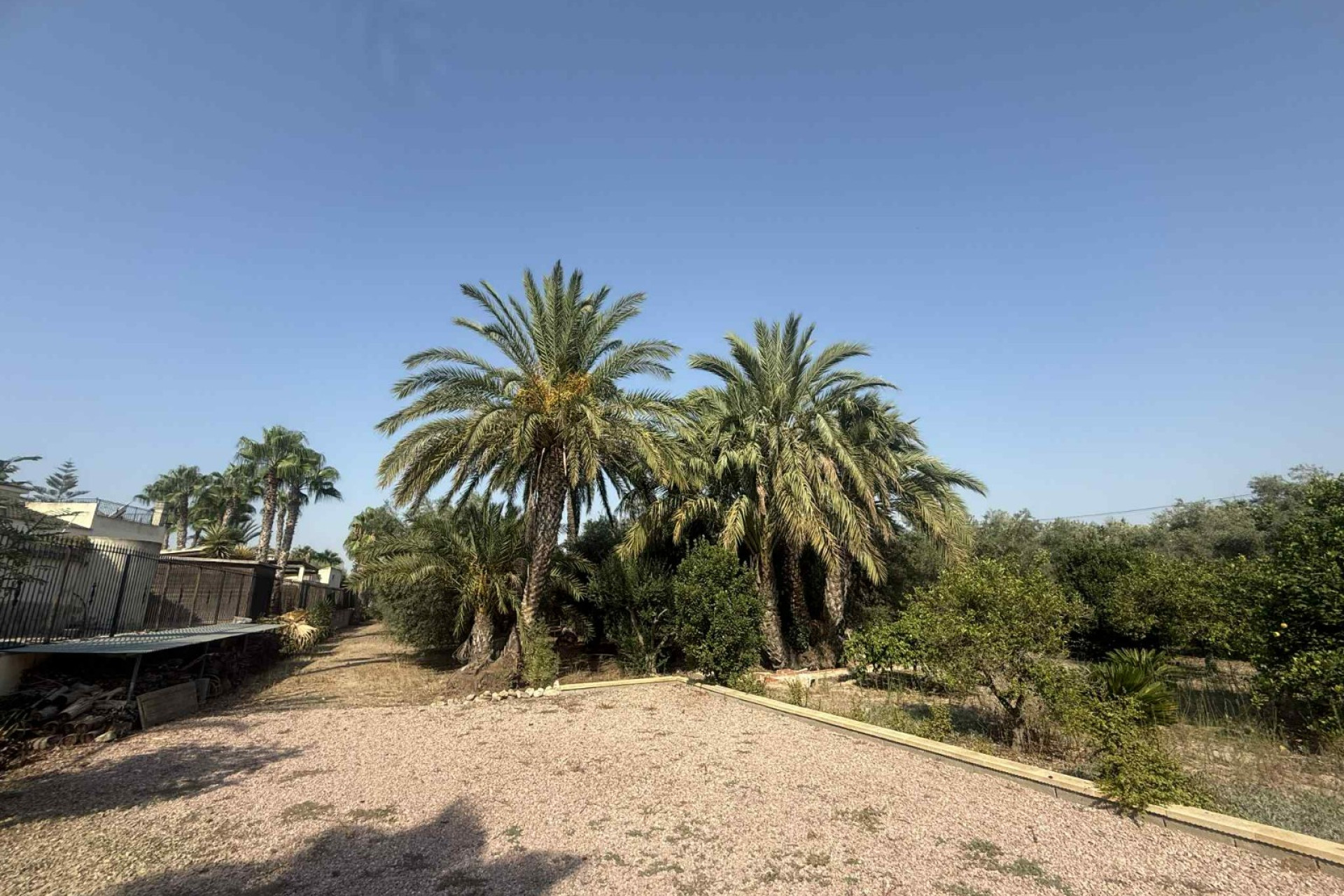 Resale - Country Property - Catral