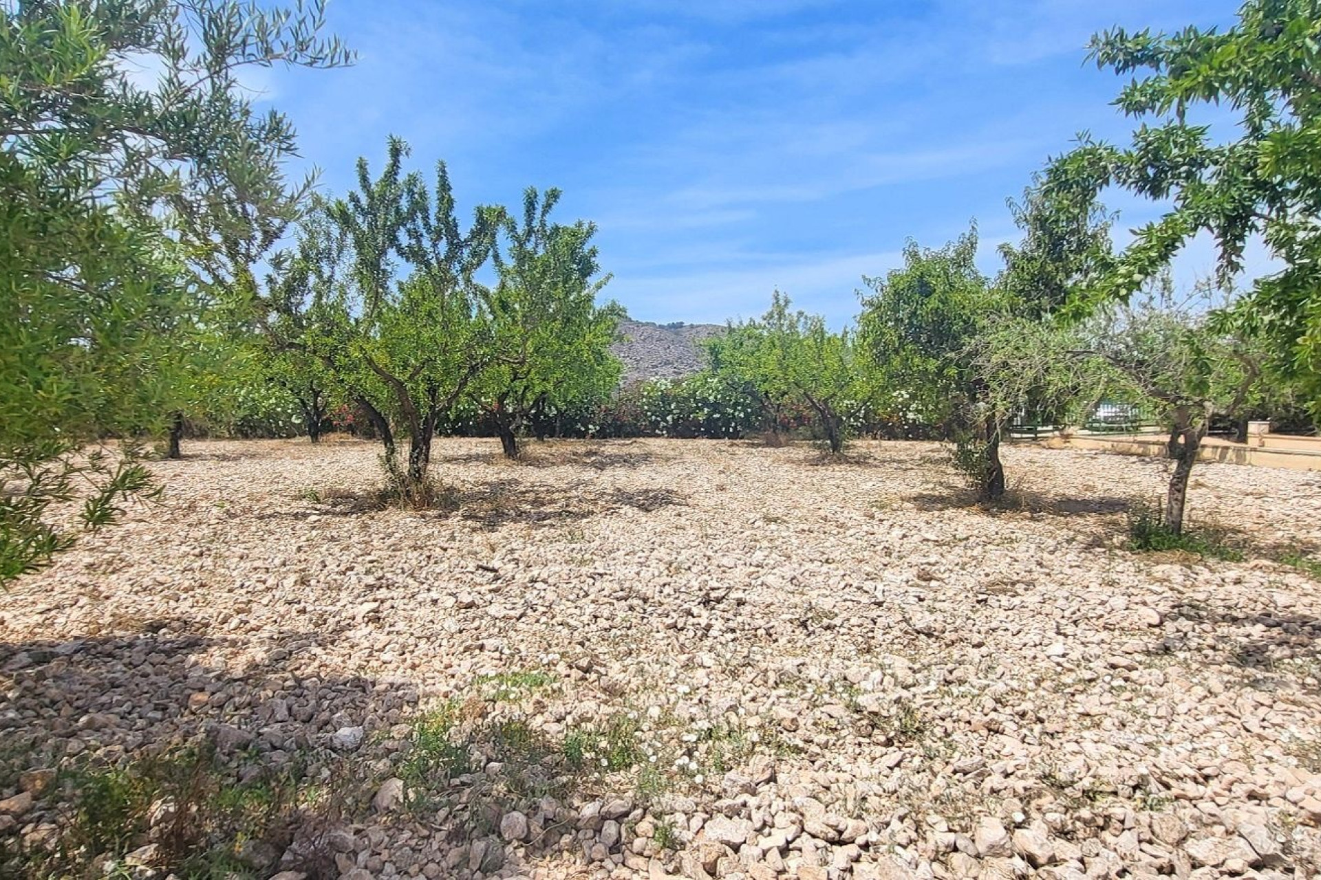 Resale - Country Property - Hondon - Hondon de Las Nieves