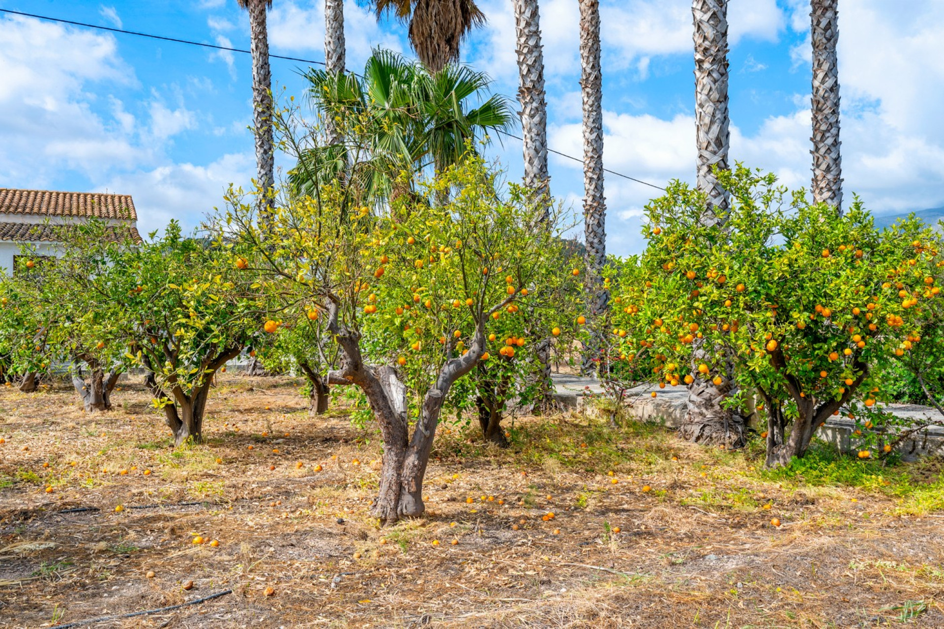 Resale - Country Property - La Nucia - La Nucia - Country