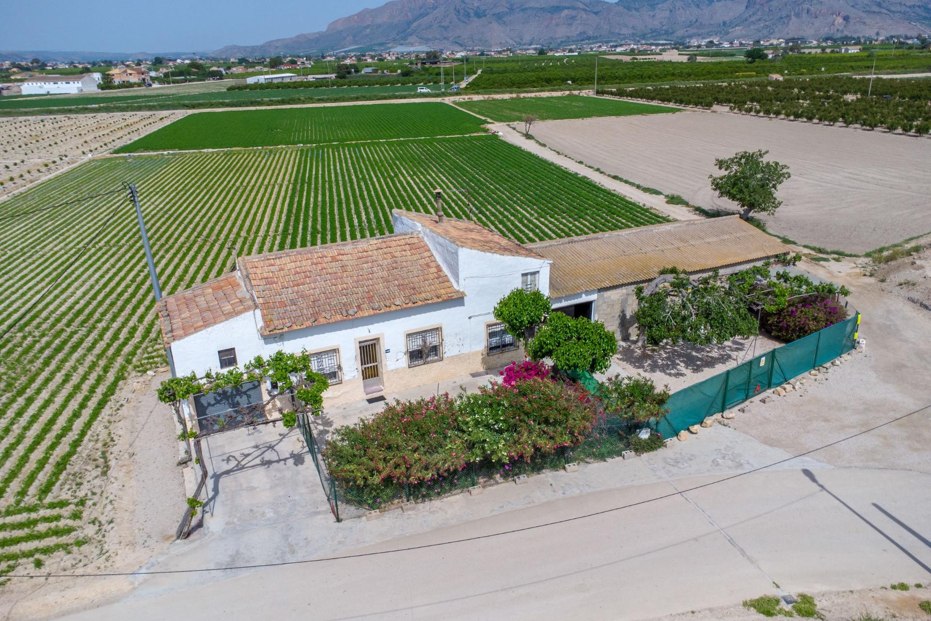 Resale - Country Property - Orihuela - Los Desamparados