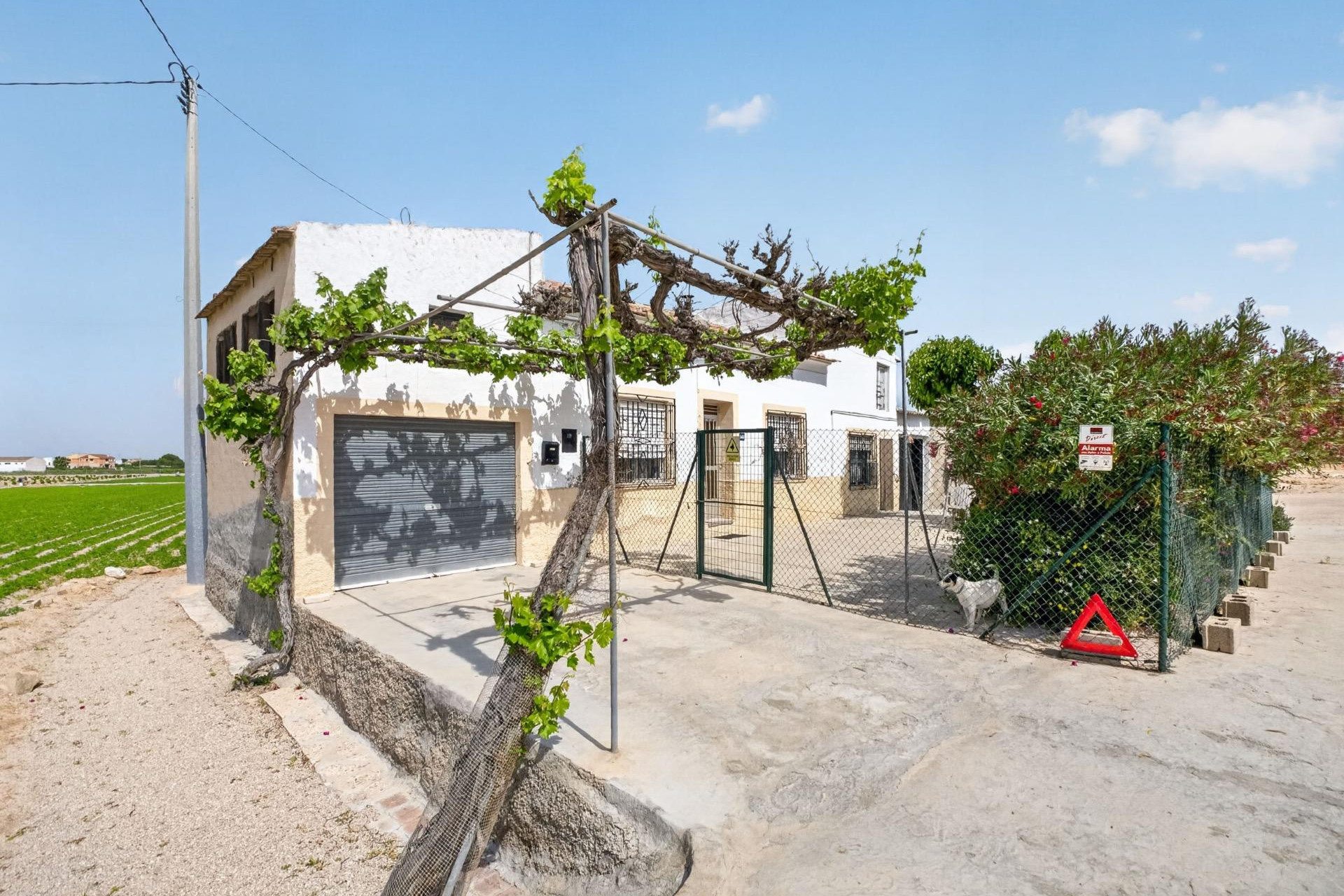 Resale - Country Property - Orihuela - Los Desamparados