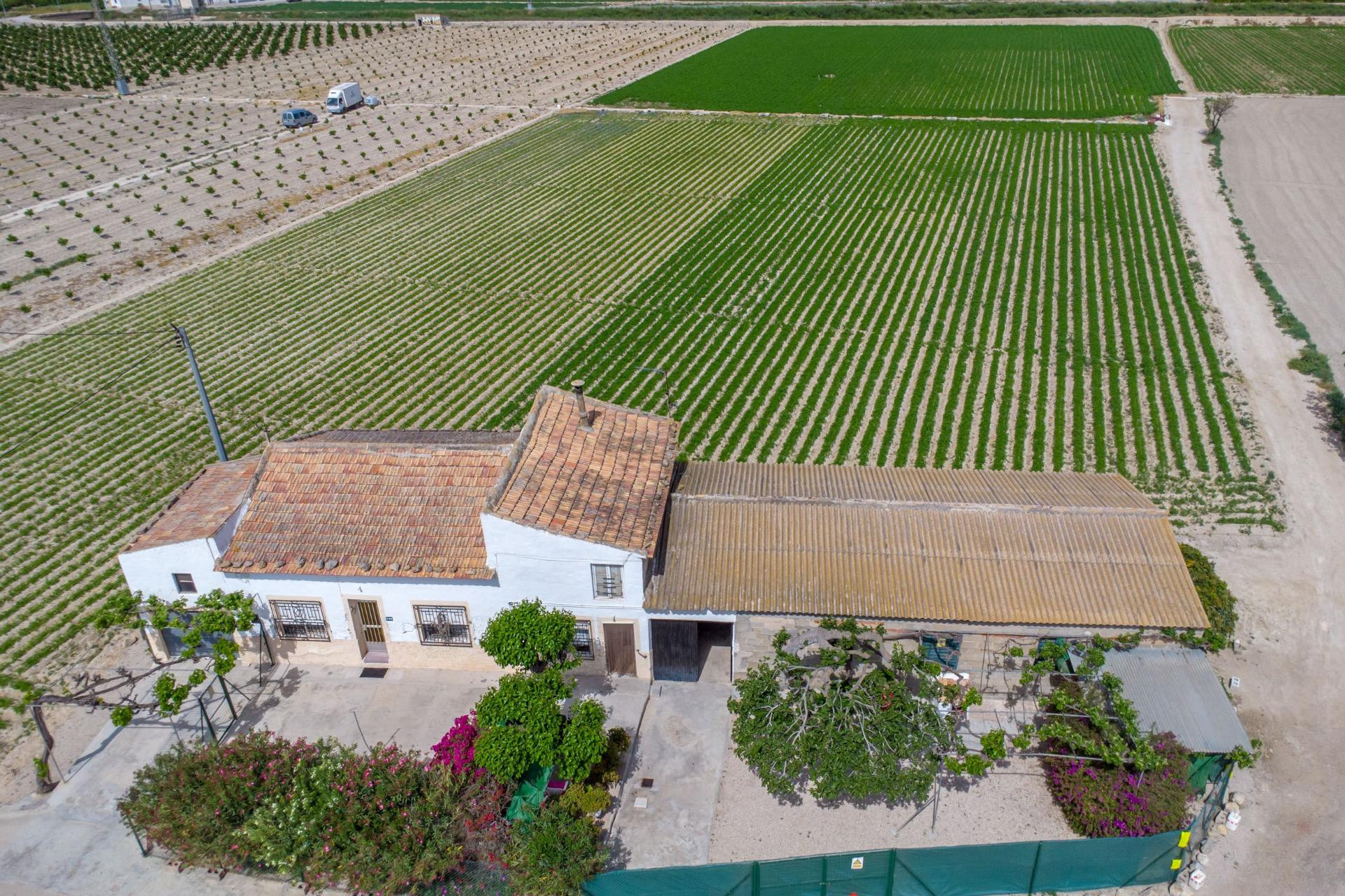 Resale - Country Property - Orihuela - Los Desamparados