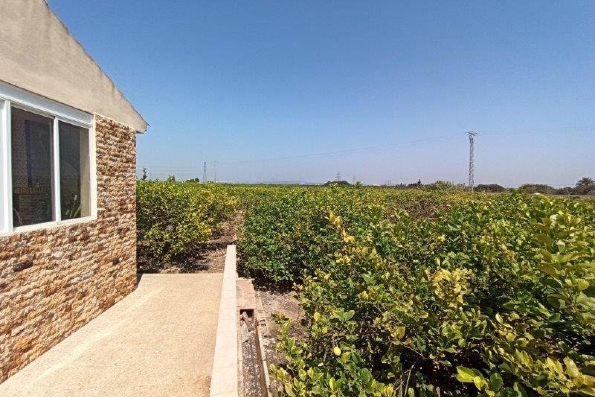 Resale - Country Property - San Miguel de Salinas - san miguel