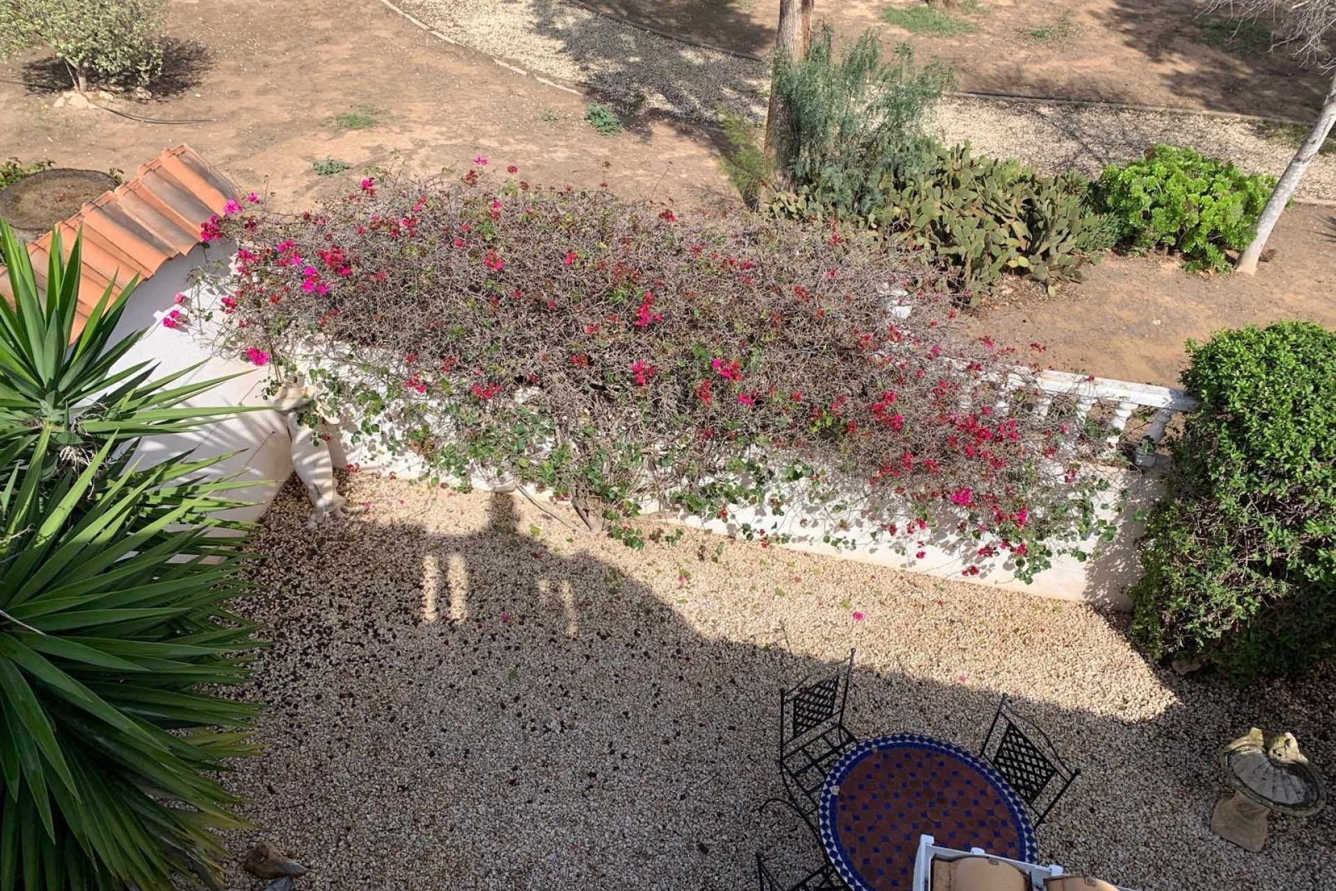 Resale - Detached House / Villa - Guardamar del Segura - EL RASO