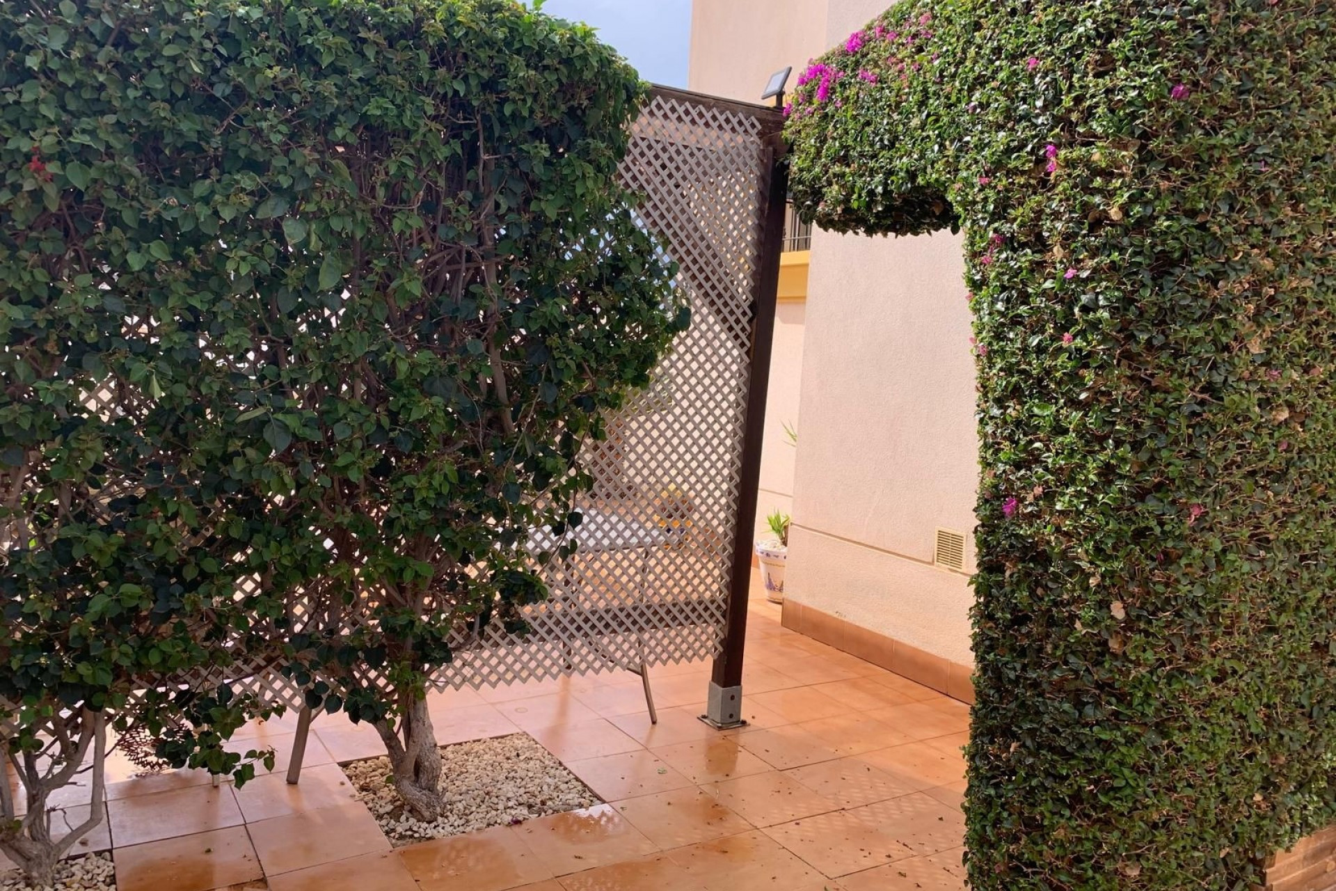 Resale - Detached House / Villa - Guardamar del Segura - EL RASO