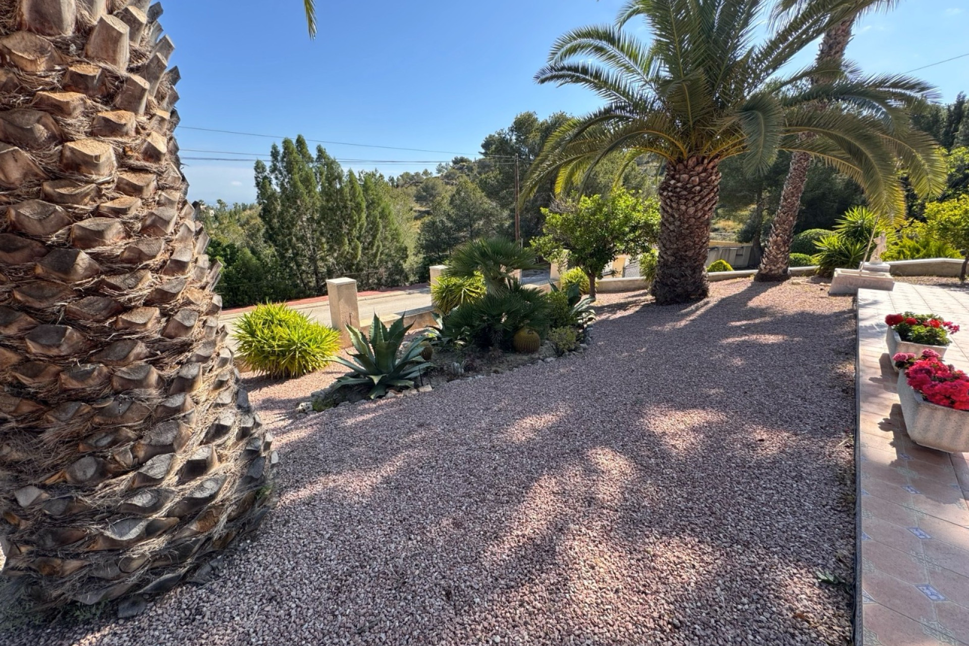 Resale - Detached Villa - Algorfa - Lomas de La Juliana