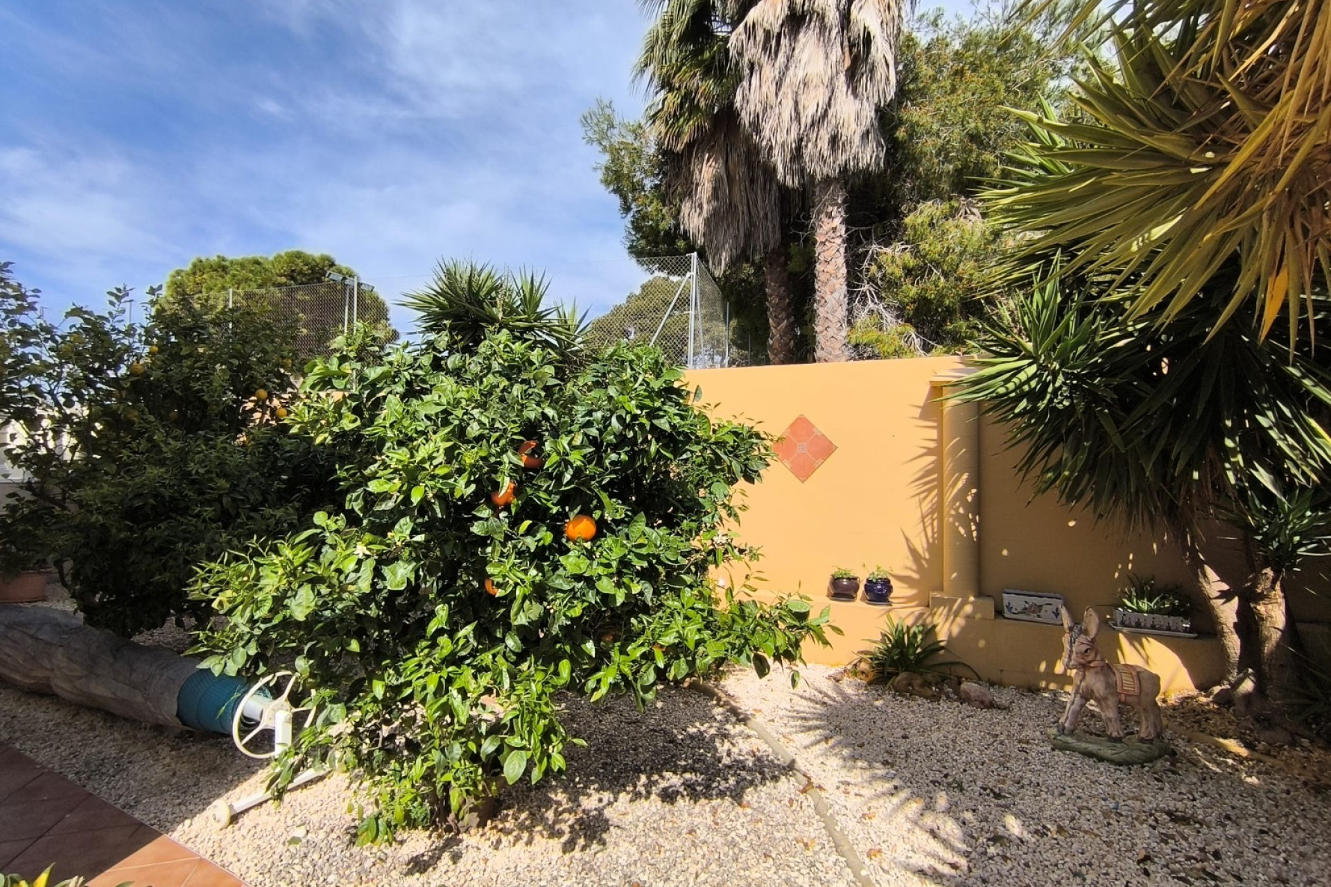 Resale - Detached Villa - Guardamar del Segura - El Raso