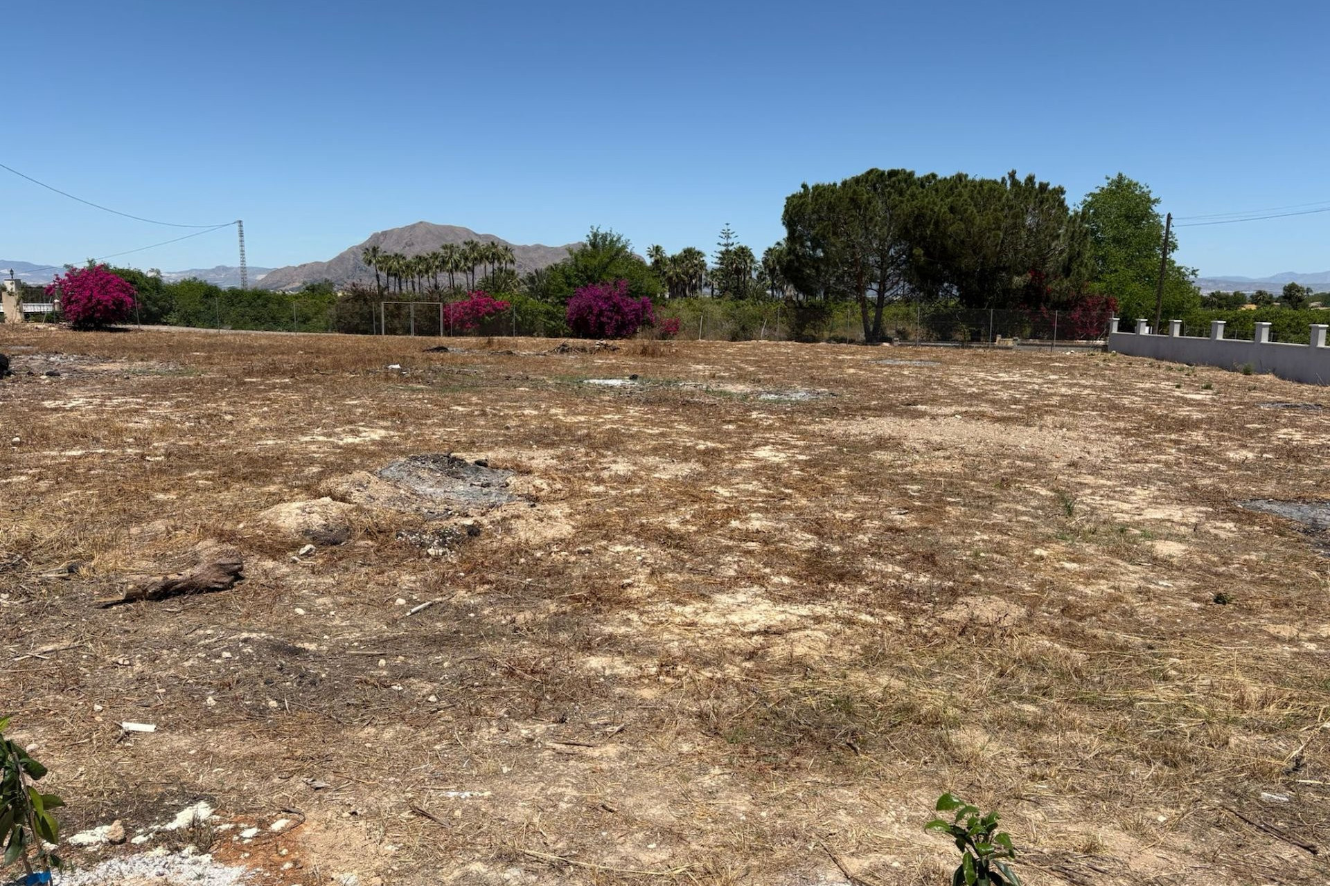 Resale - Detached Villa - Jacarilla - Jacarilla - Country