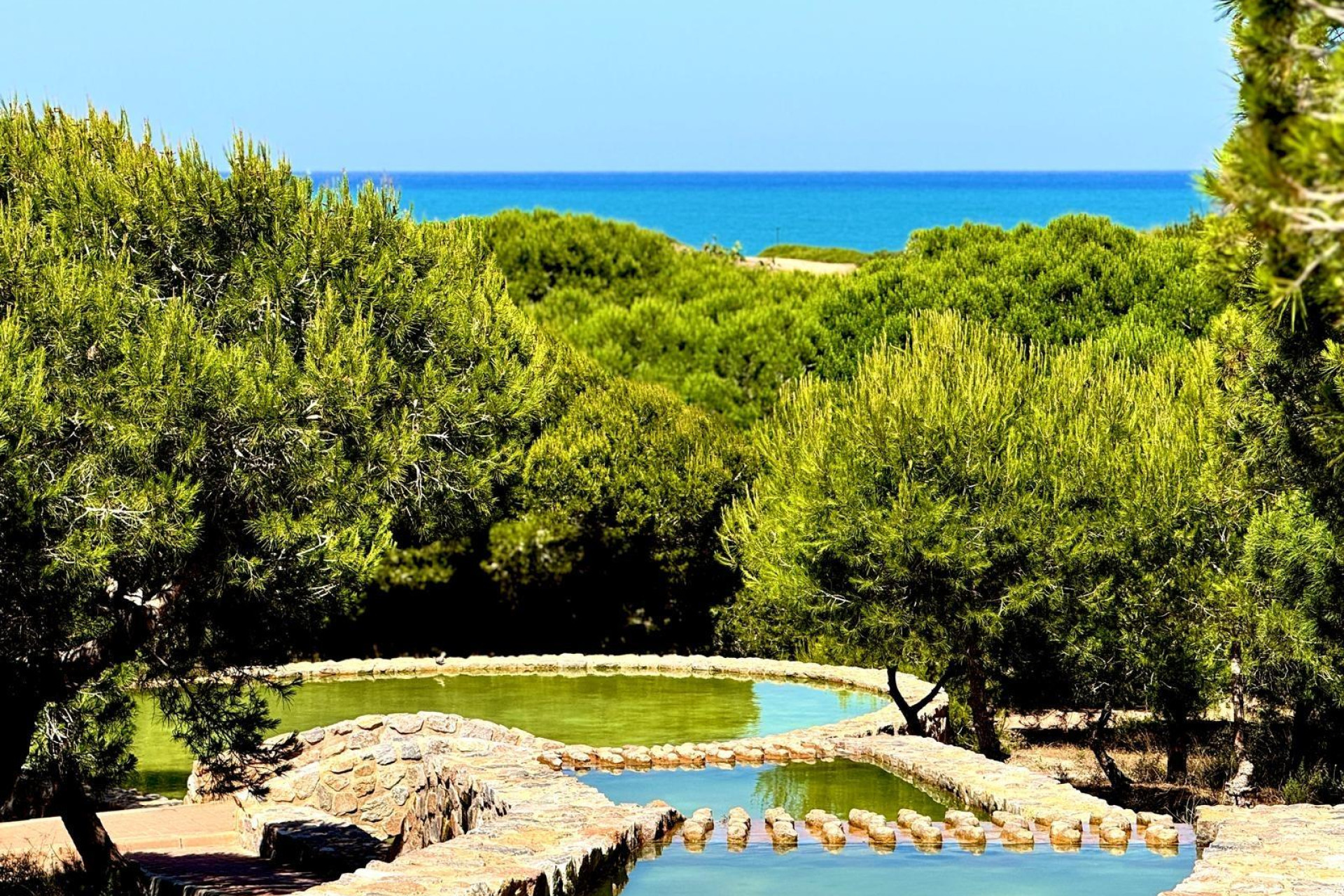 Resale - Duplex - Torrevieja - Cañada del Molino
