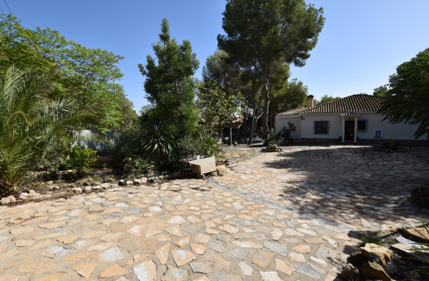 Resale - Finca - Algorfa - Montemar