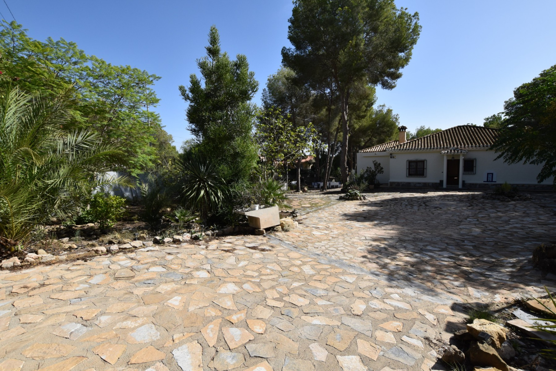 Resale - Finca - Algorfa - Montemar