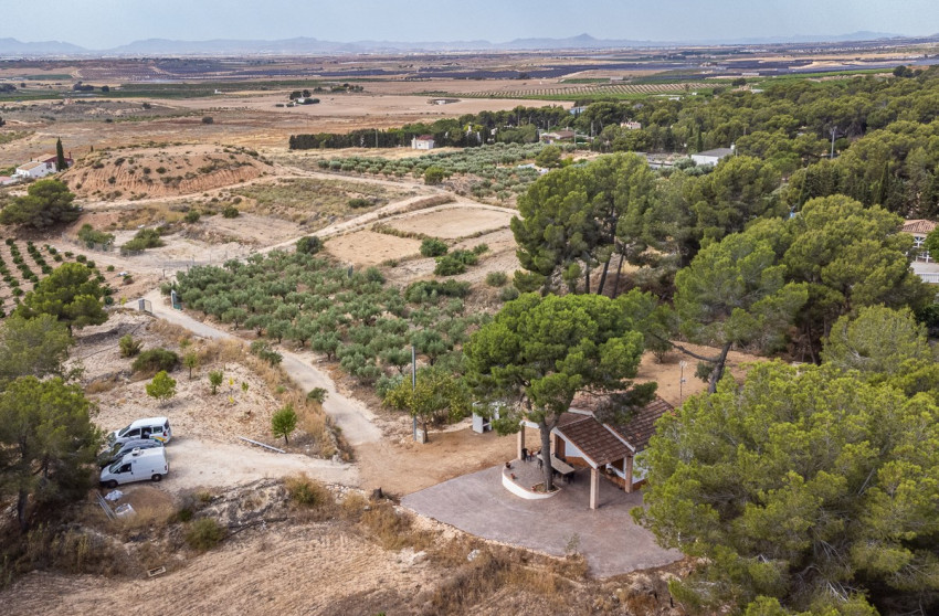 Resale - House - LA TERCIA - La Tercia