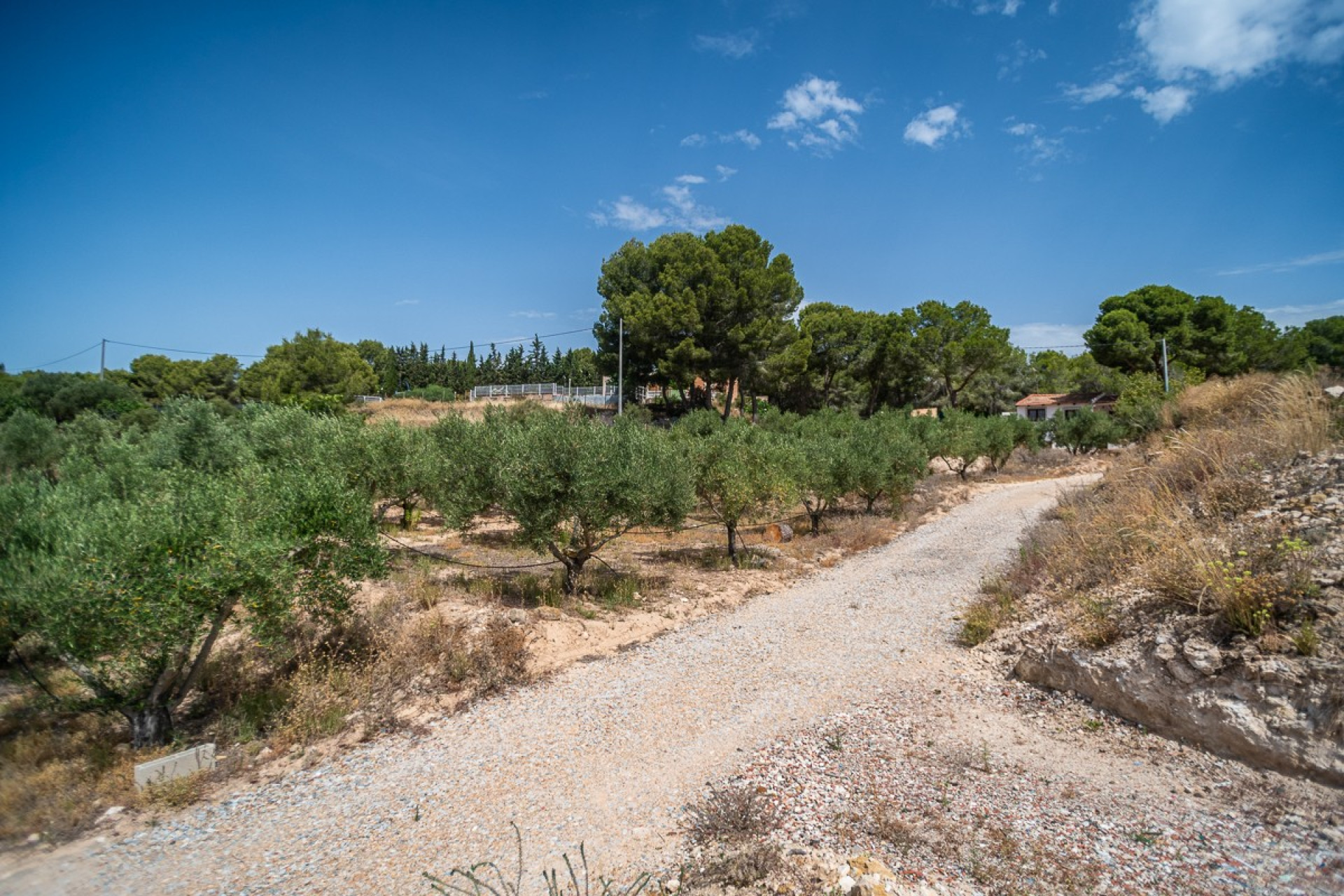 Resale - House - LA TERCIA - La Tercia
