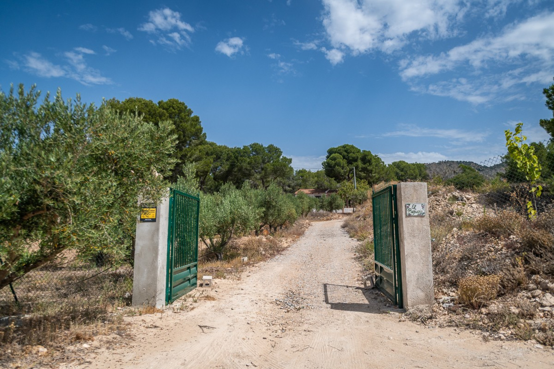 Resale - House - LA TERCIA - La Tercia
