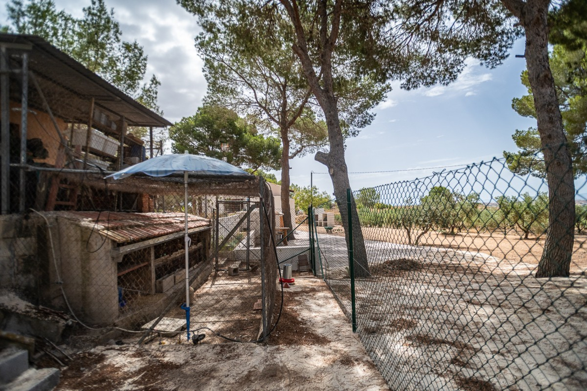 Resale - House - LA TERCIA - La Tercia