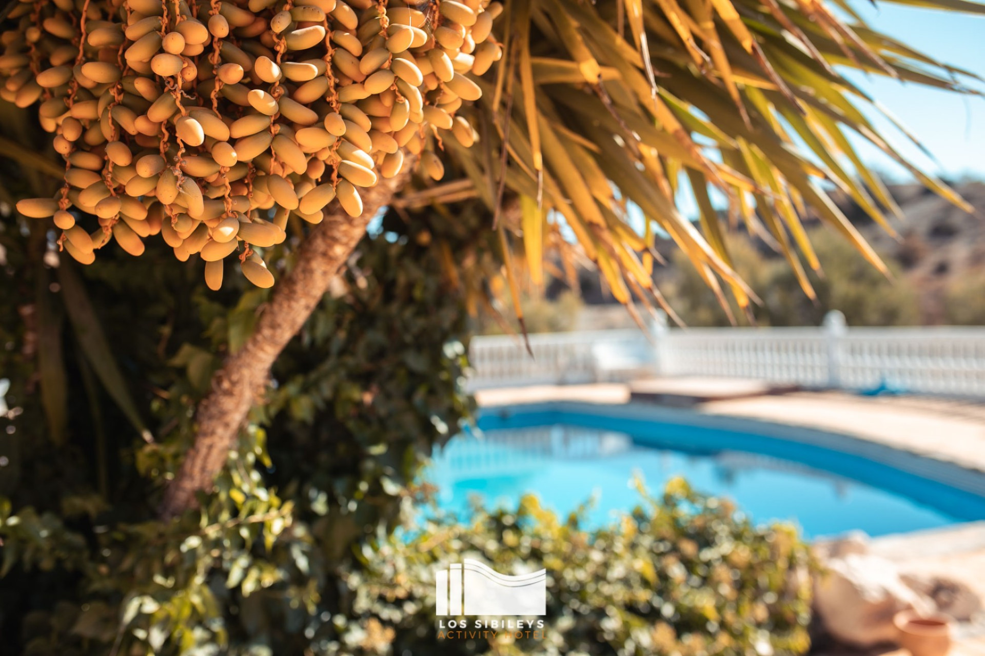 Resale - House - Lorca