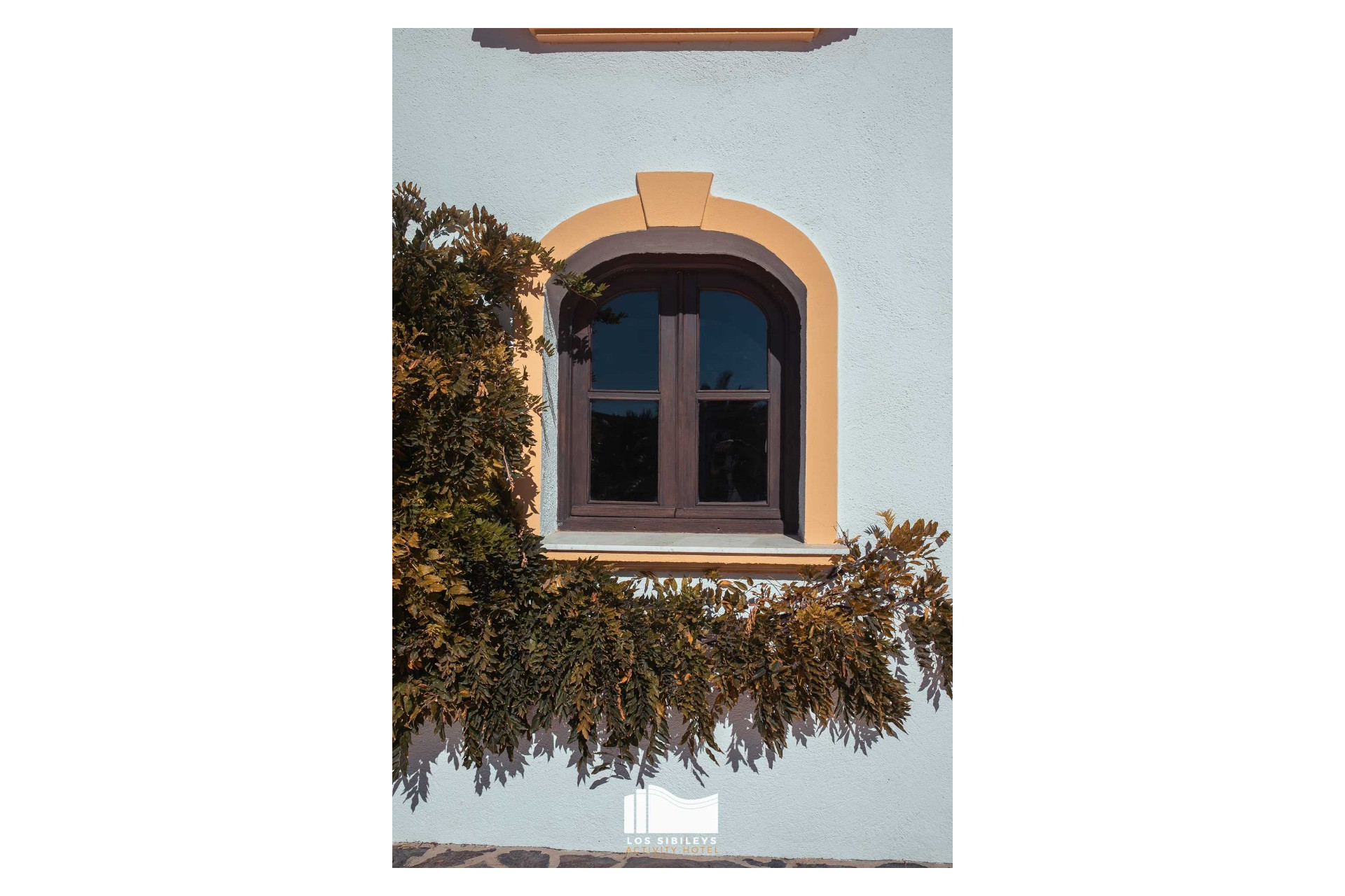 Resale - House - Lorca