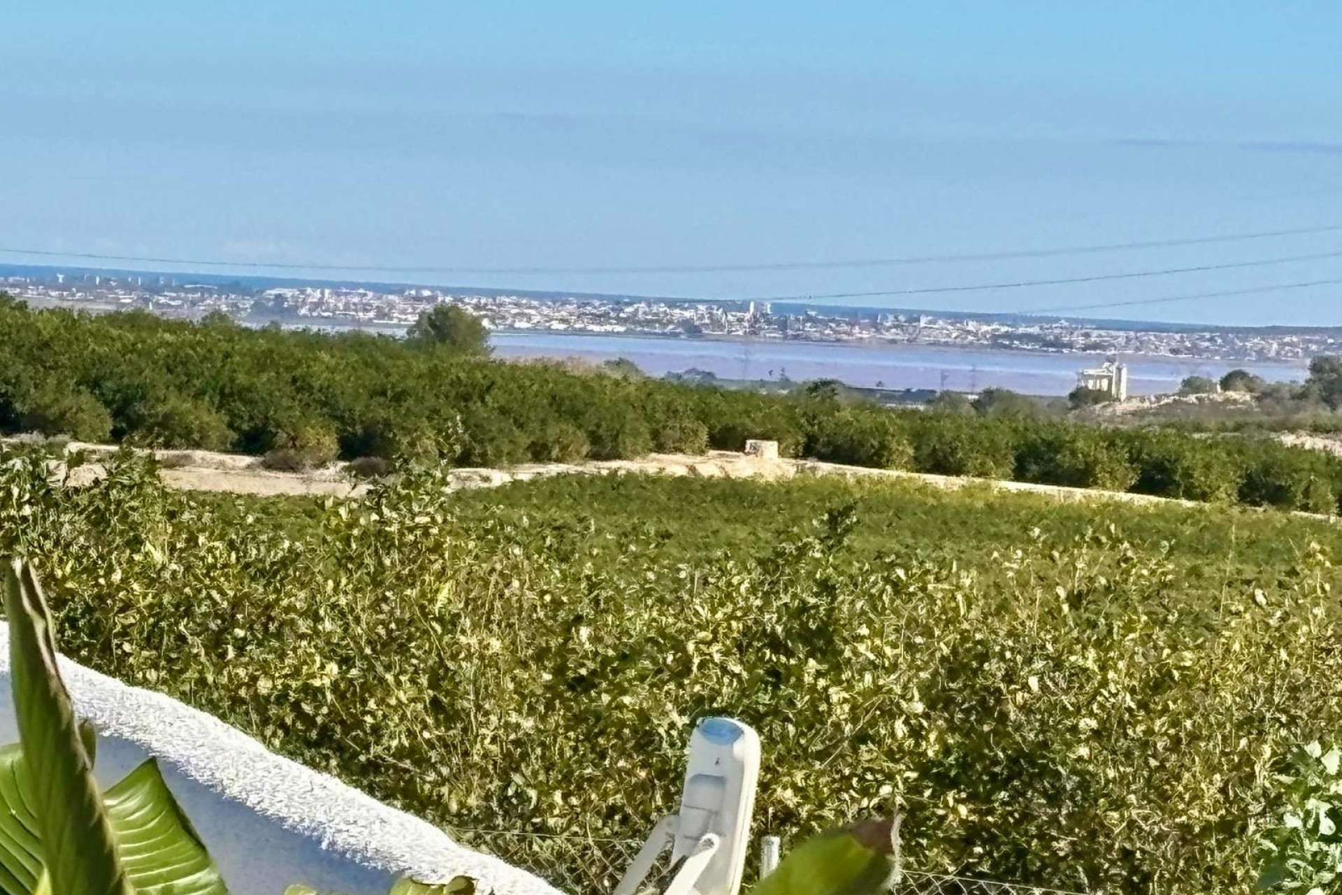 Resale - House - San Miguel de Salinas - Pueblo 9