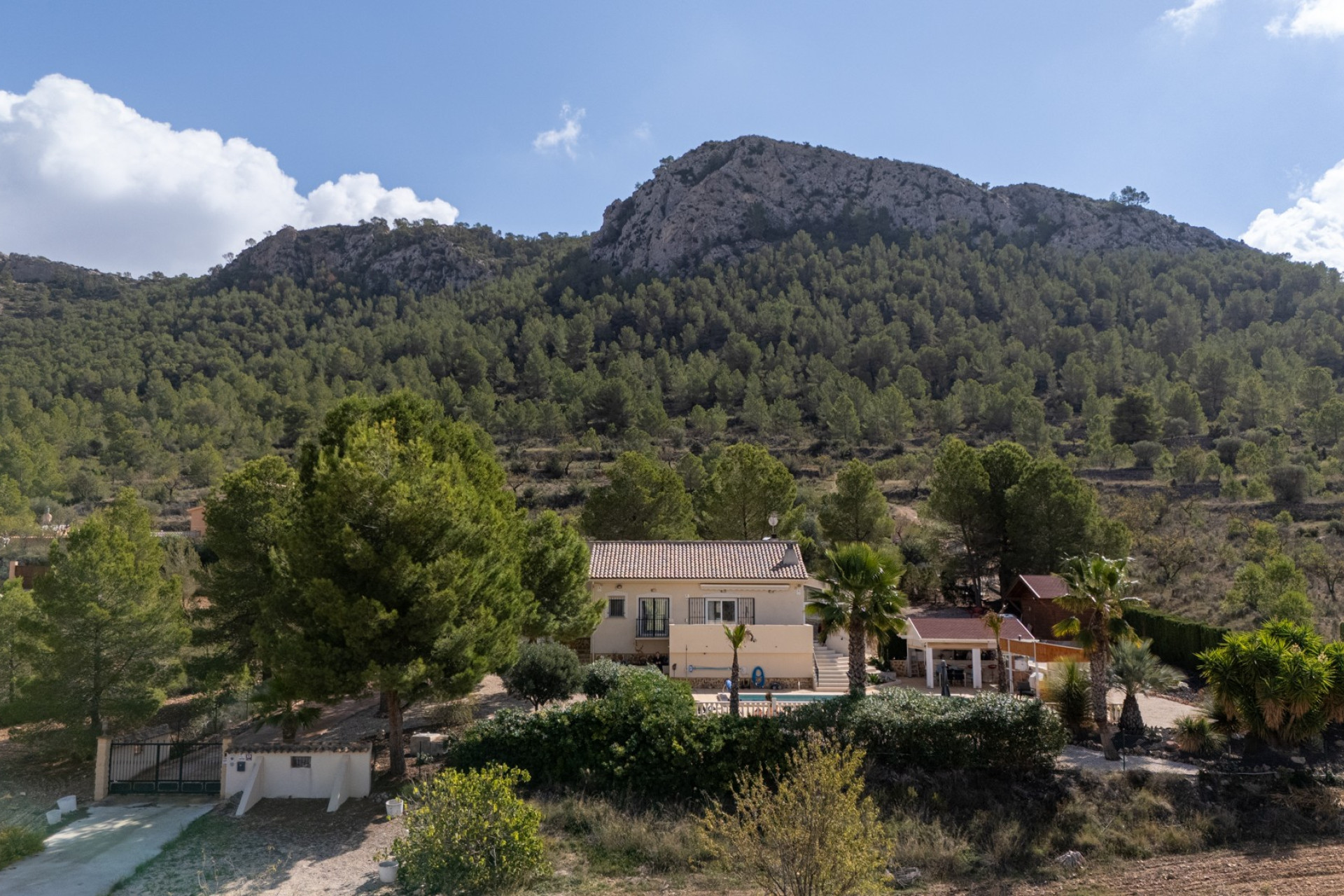 Resale - Independent villa - La Zarza