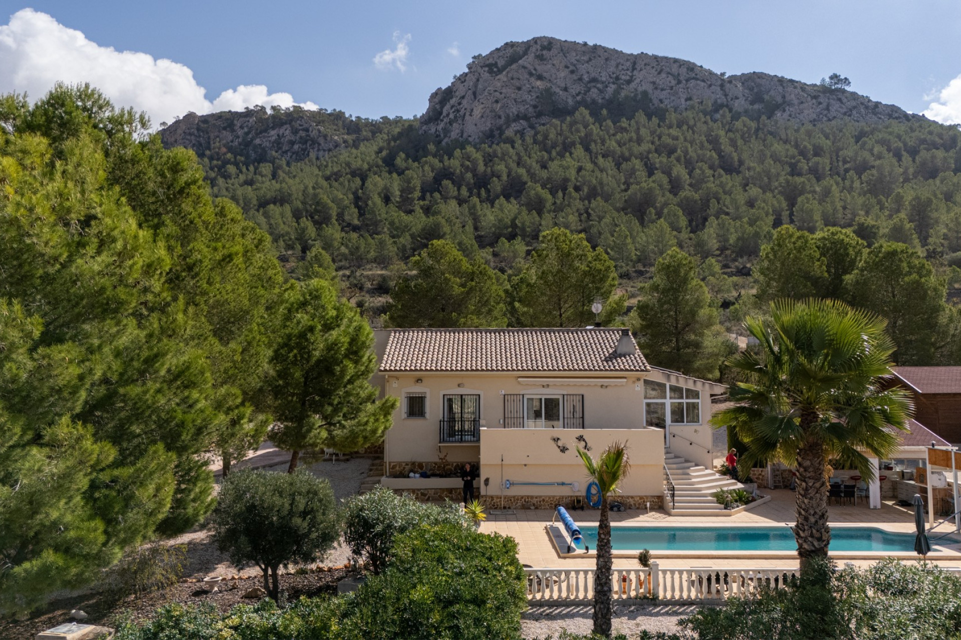 Resale - Independent villa - La Zarza