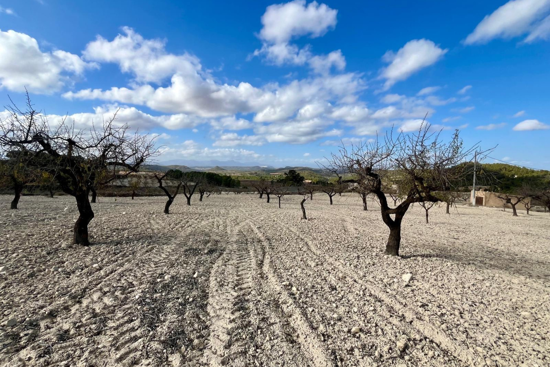 Resale - Land - Bullas - Costa Calida