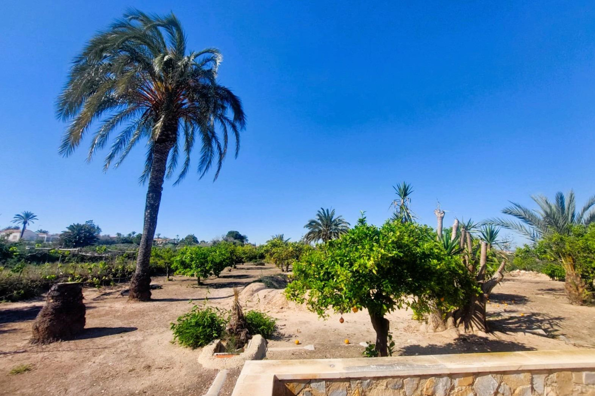 Resale - Masia - La marina - La Marina