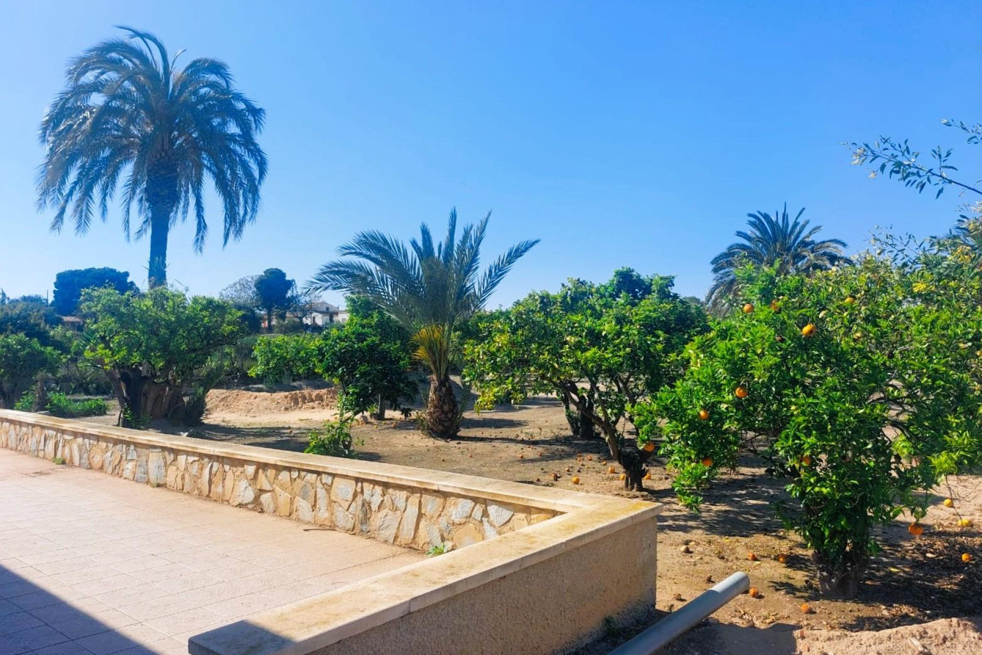 Resale - Masia - La marina - La Marina