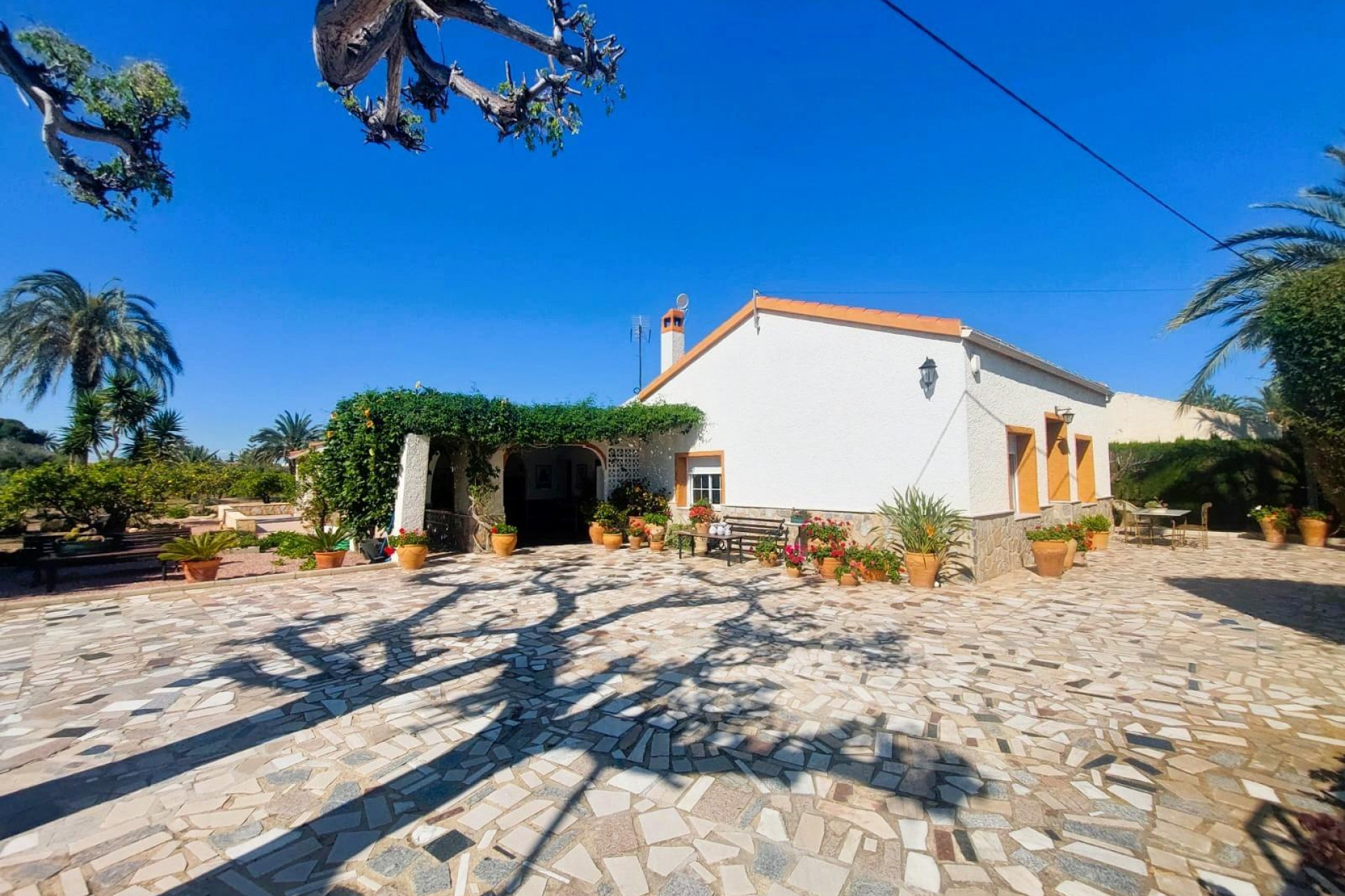 Resale - Masia - La marina - La Marina