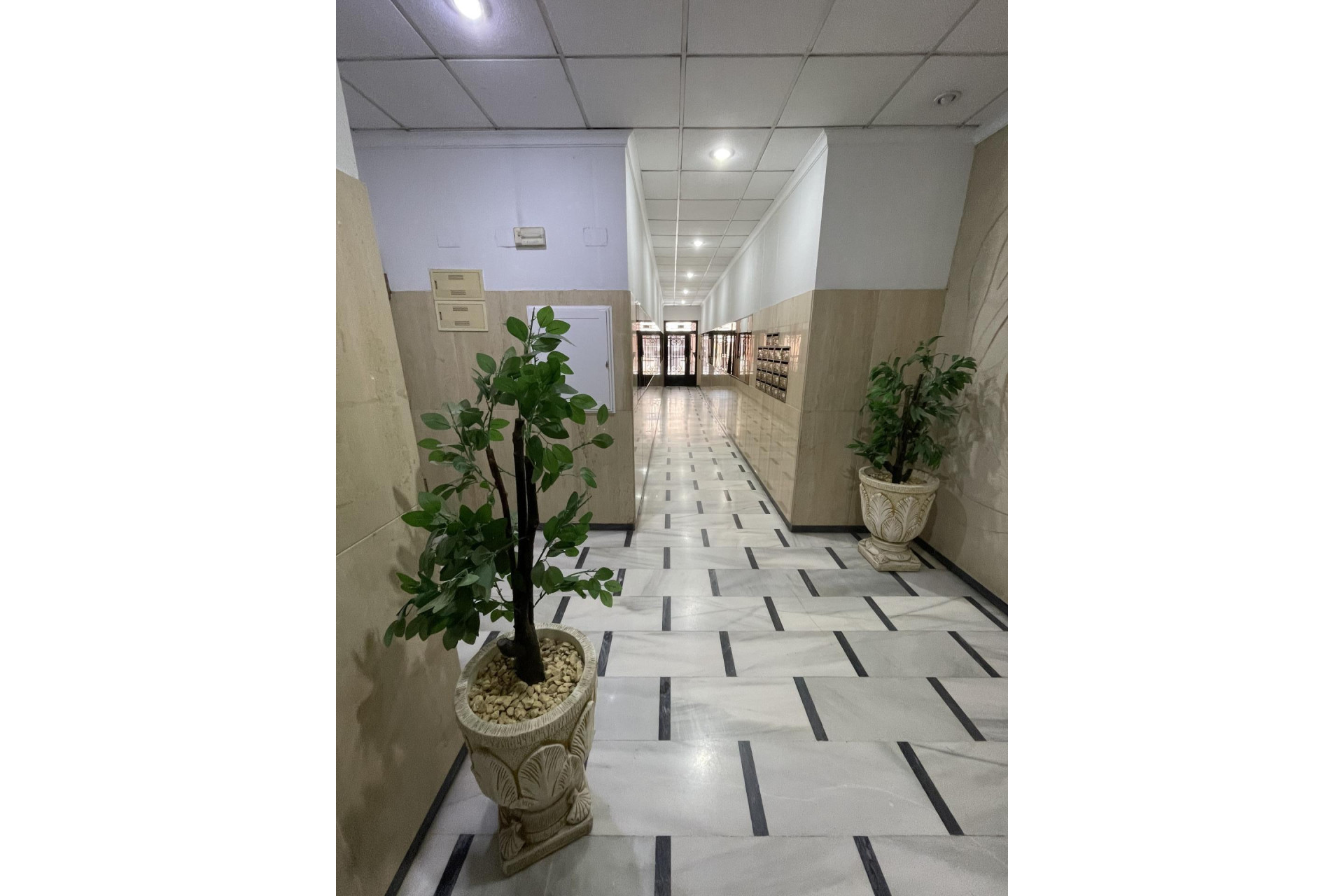 Resale - Penthouse - Torrevieja - La Mata pueblo