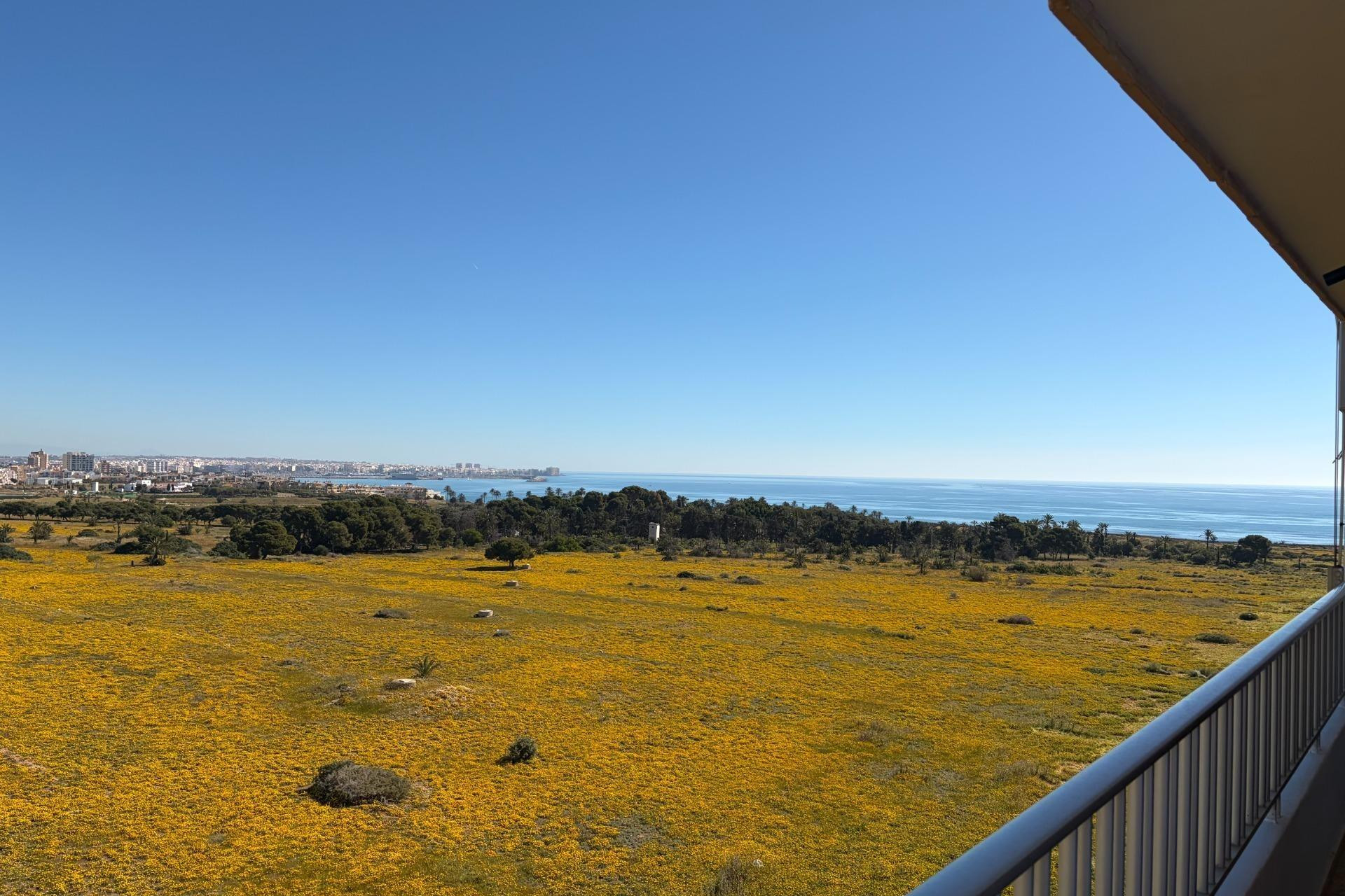 Resale - Penthouse - Torrevieja - Punta prima