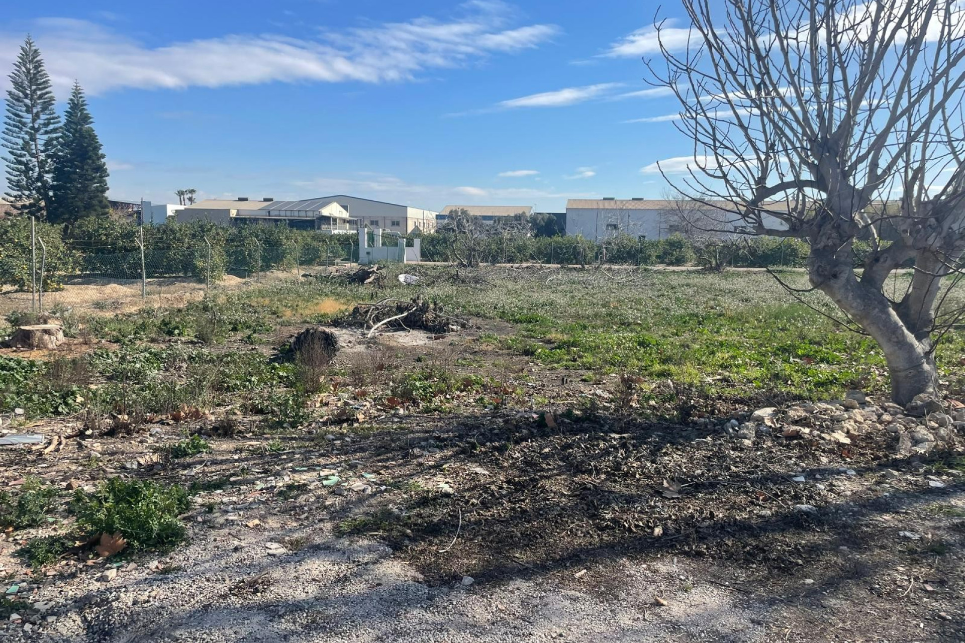 Resale - Renovation - Almoradí