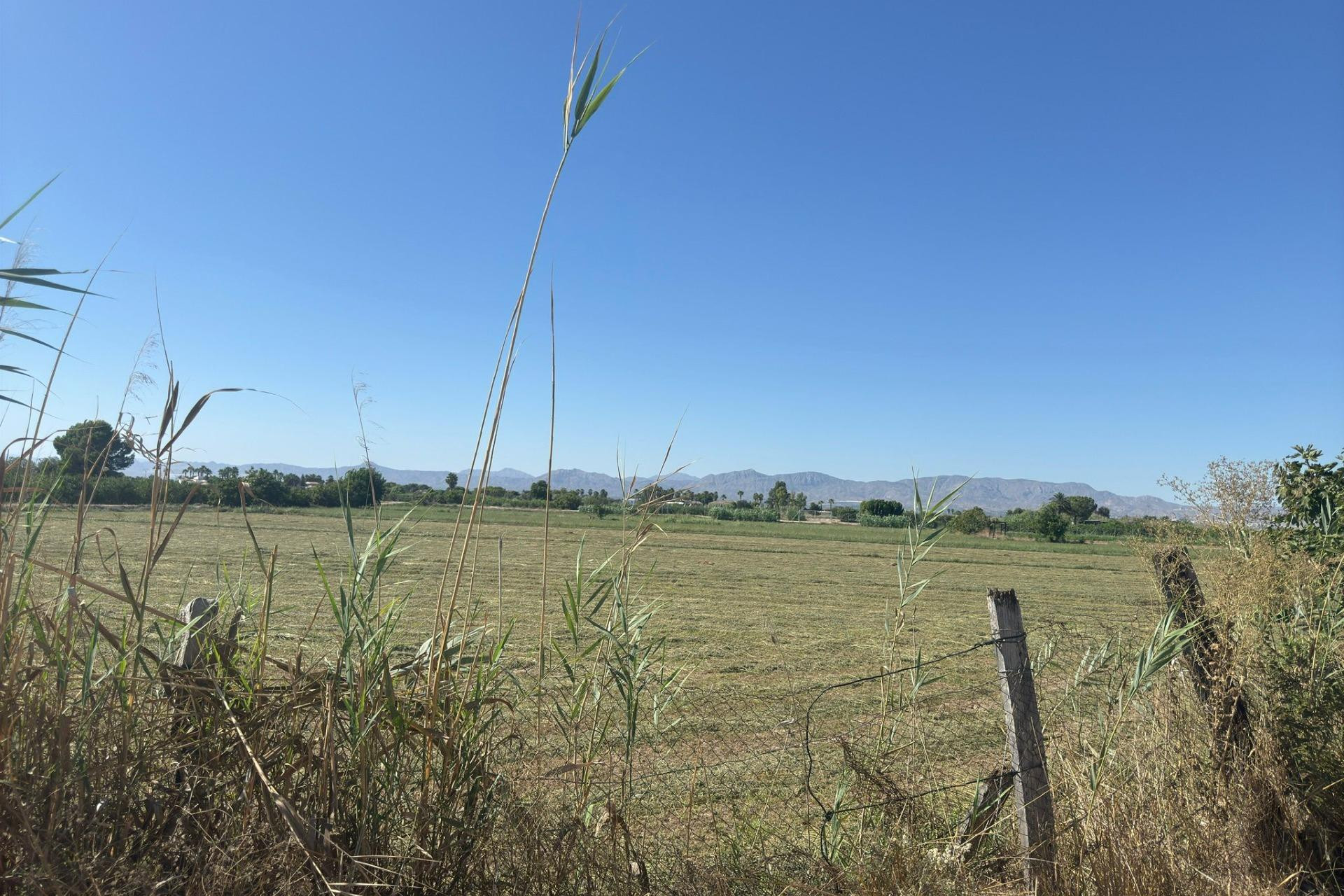 Resale - Terraced house - Almoradi - El saladar