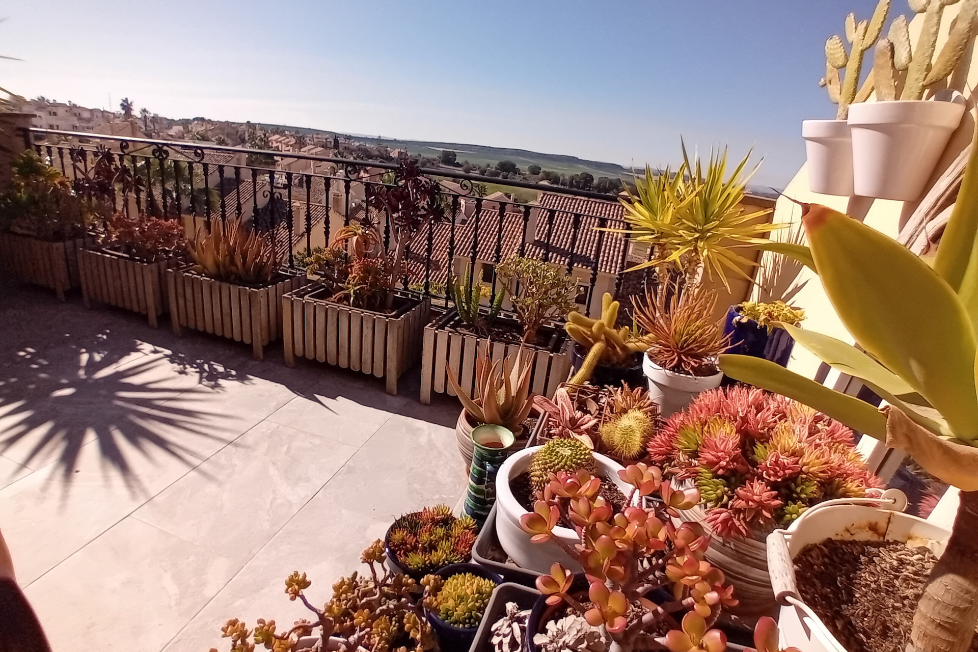 Resale - Townhouse - Algorfa - La Finca Golf